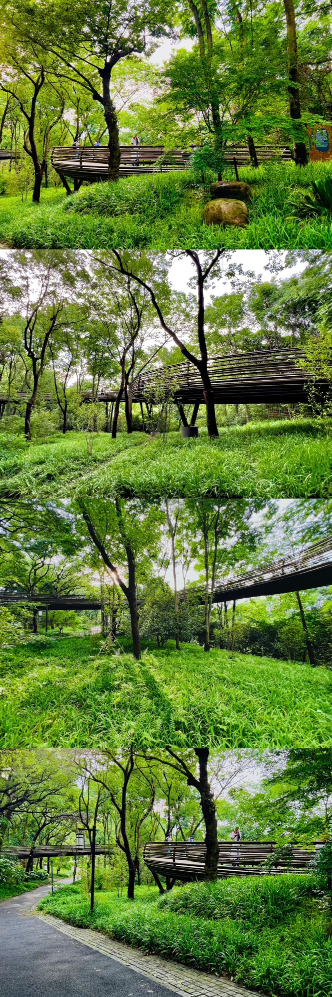 白蛇飞渡桥