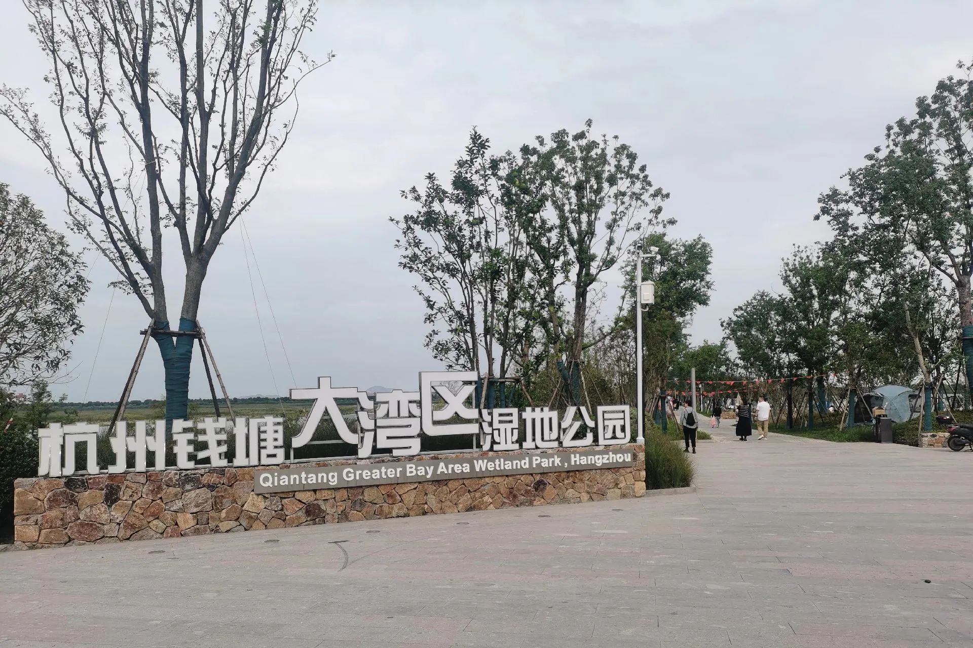 杭州钱塘大湾区湿地公园旅行图片