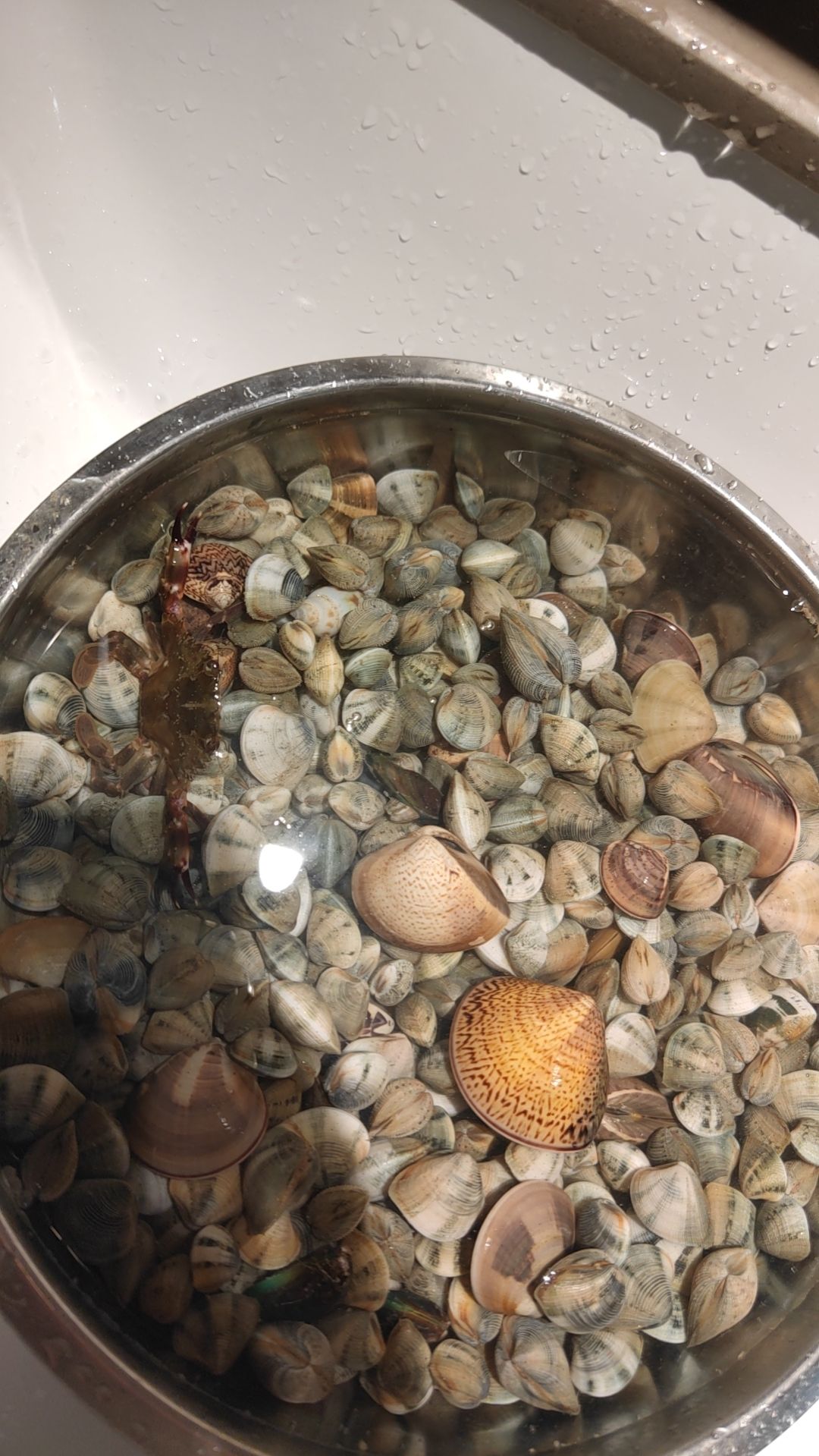 福湖海滩旅行图片