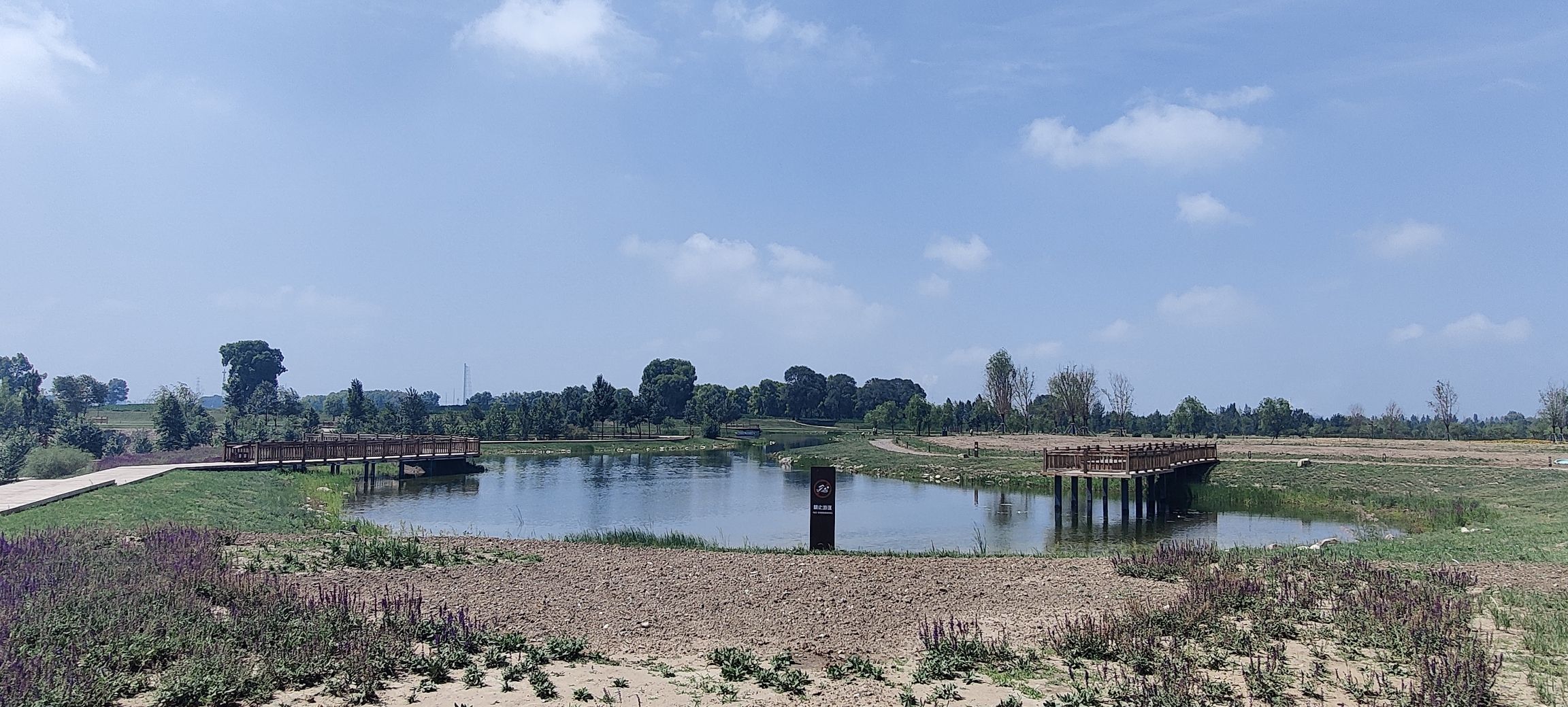 八拜湖湿地公园旅行图片