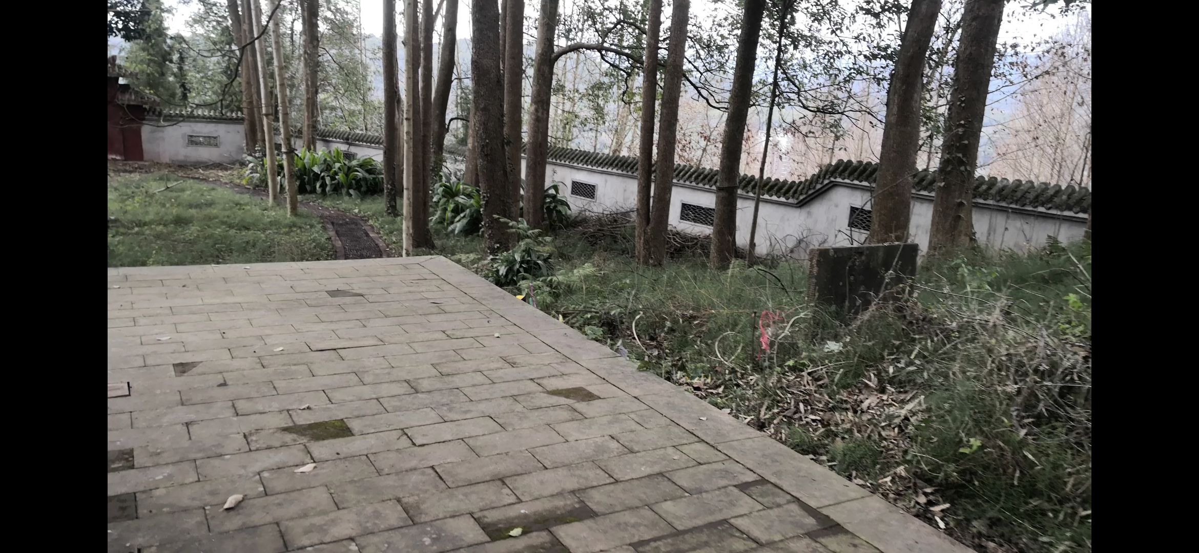 芦山姜维墓