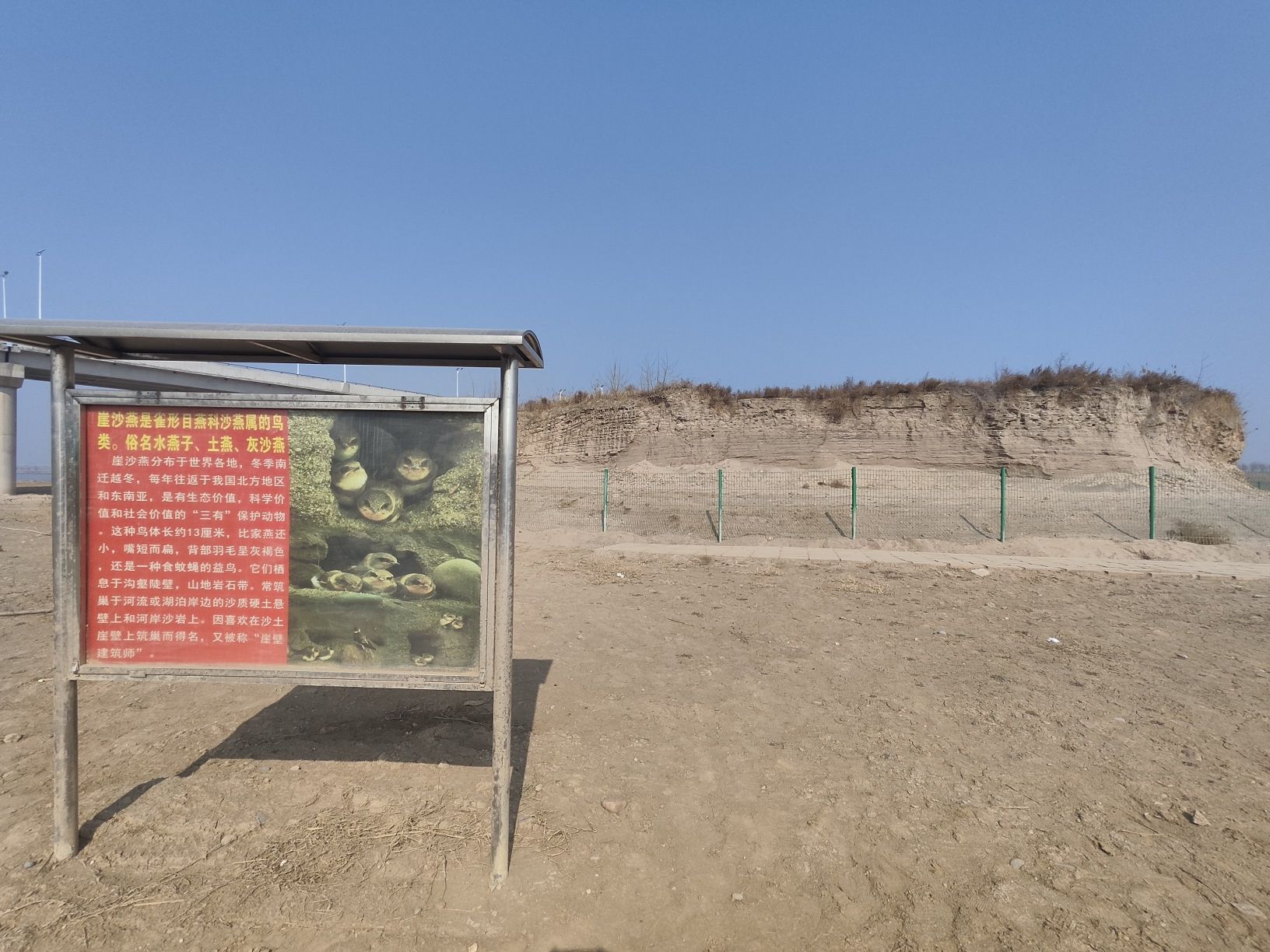 滹沱河崖沙燕窝保护区