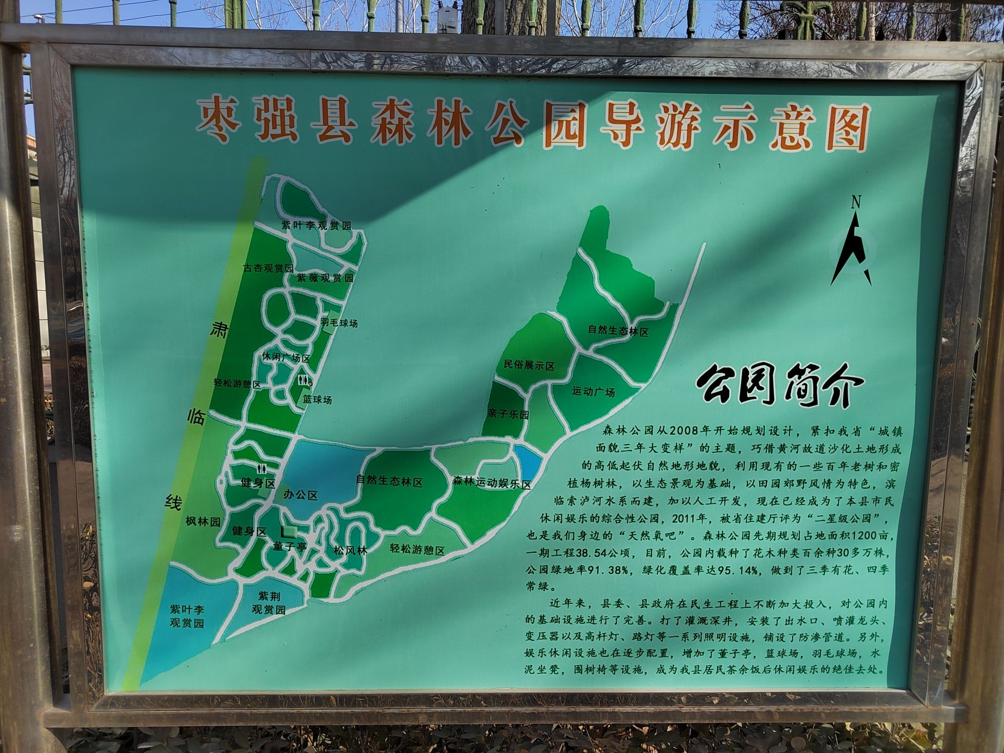 枣强森林公园旅行图片