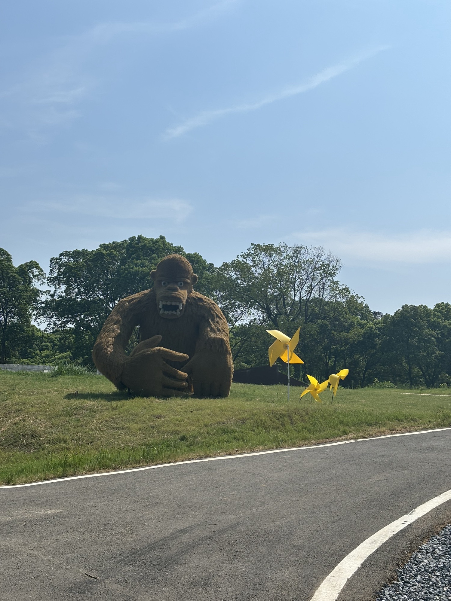 吴城候鸟小镇狮子山观鸟点