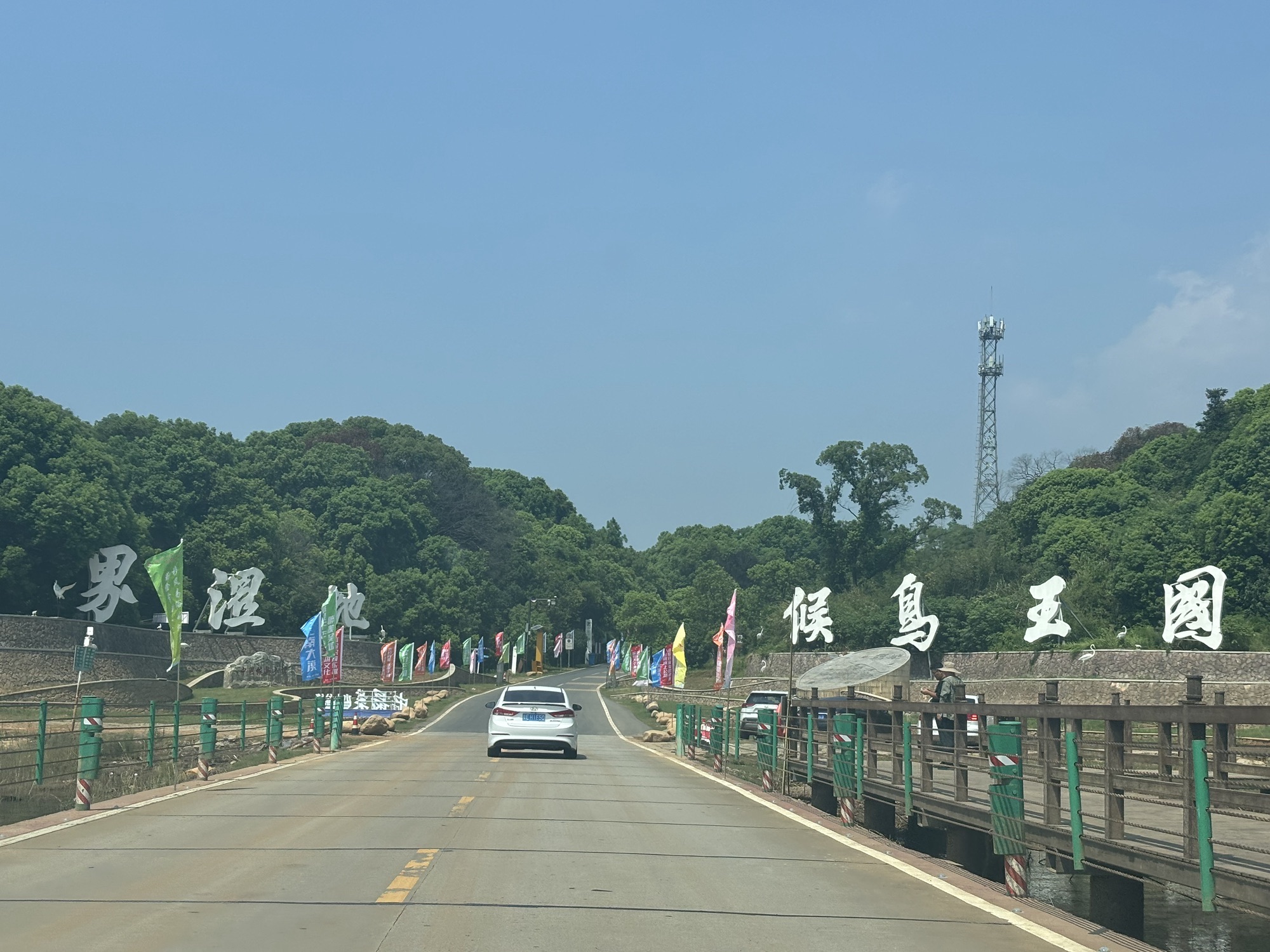 吴城候鸟小镇狮子山观鸟点旅行图片