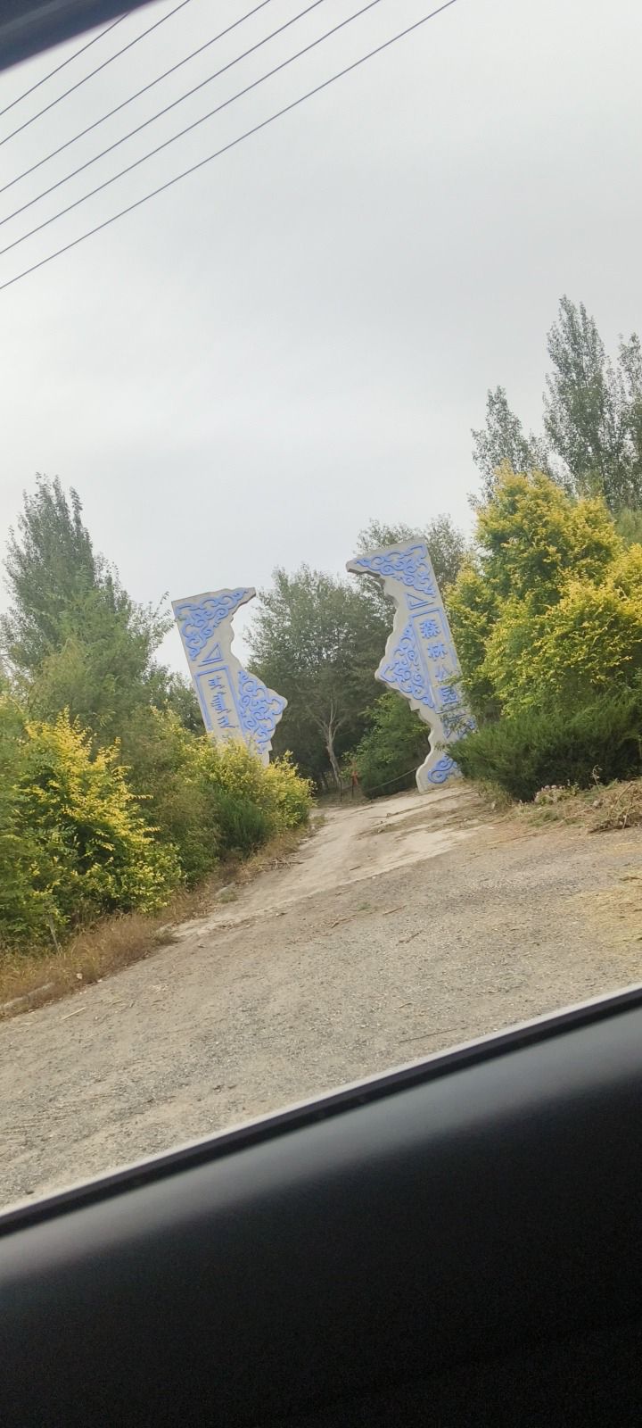 森林公园