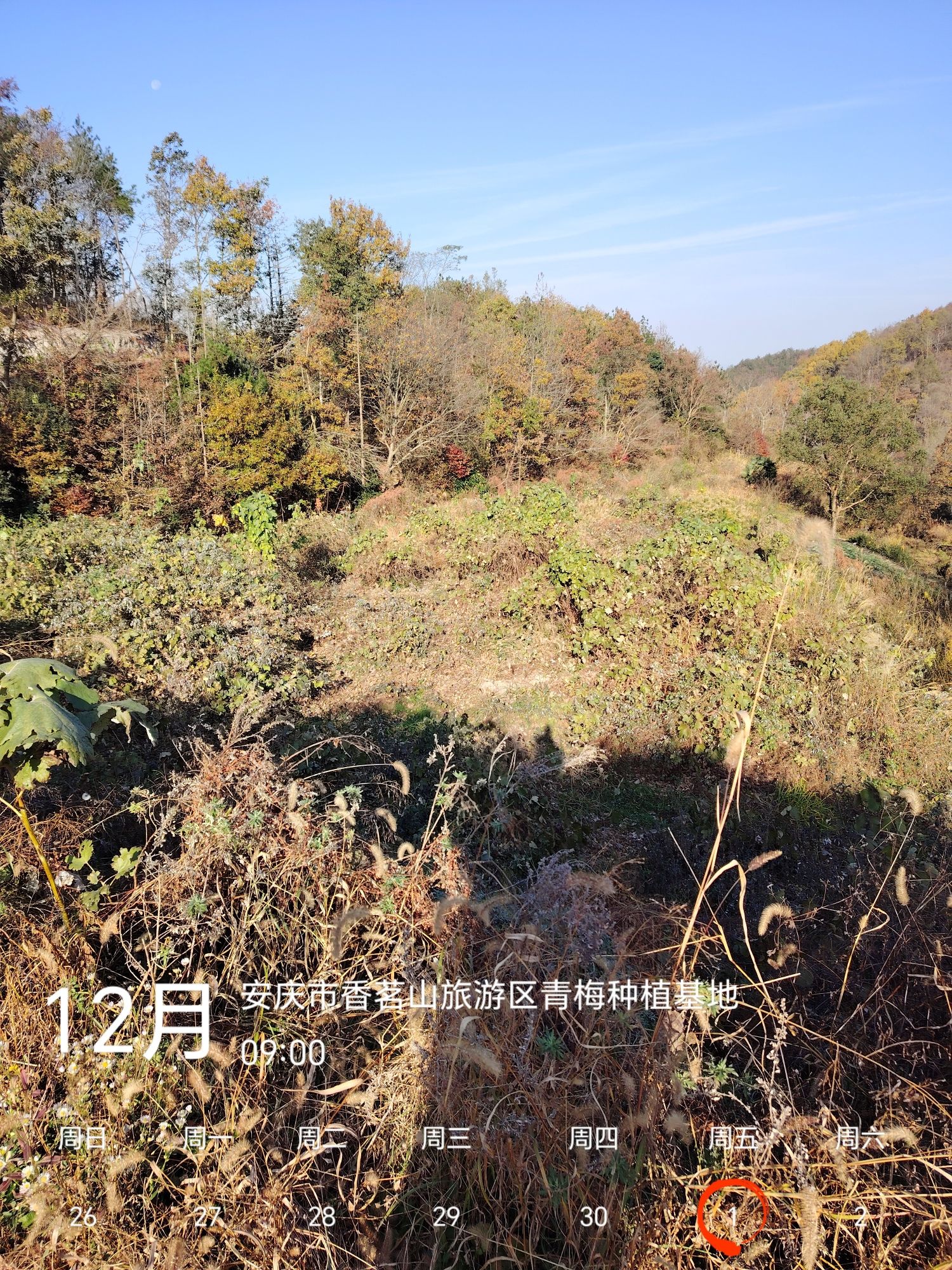 香茗山网红景点旅行图片