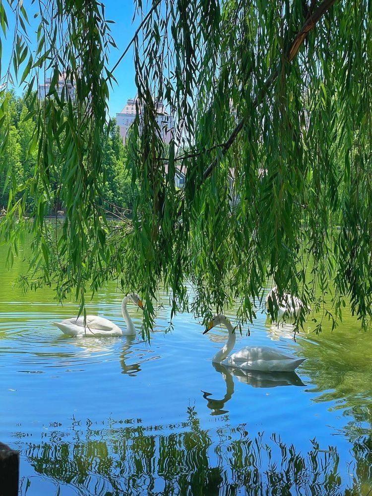 紫玉公园旅行图片