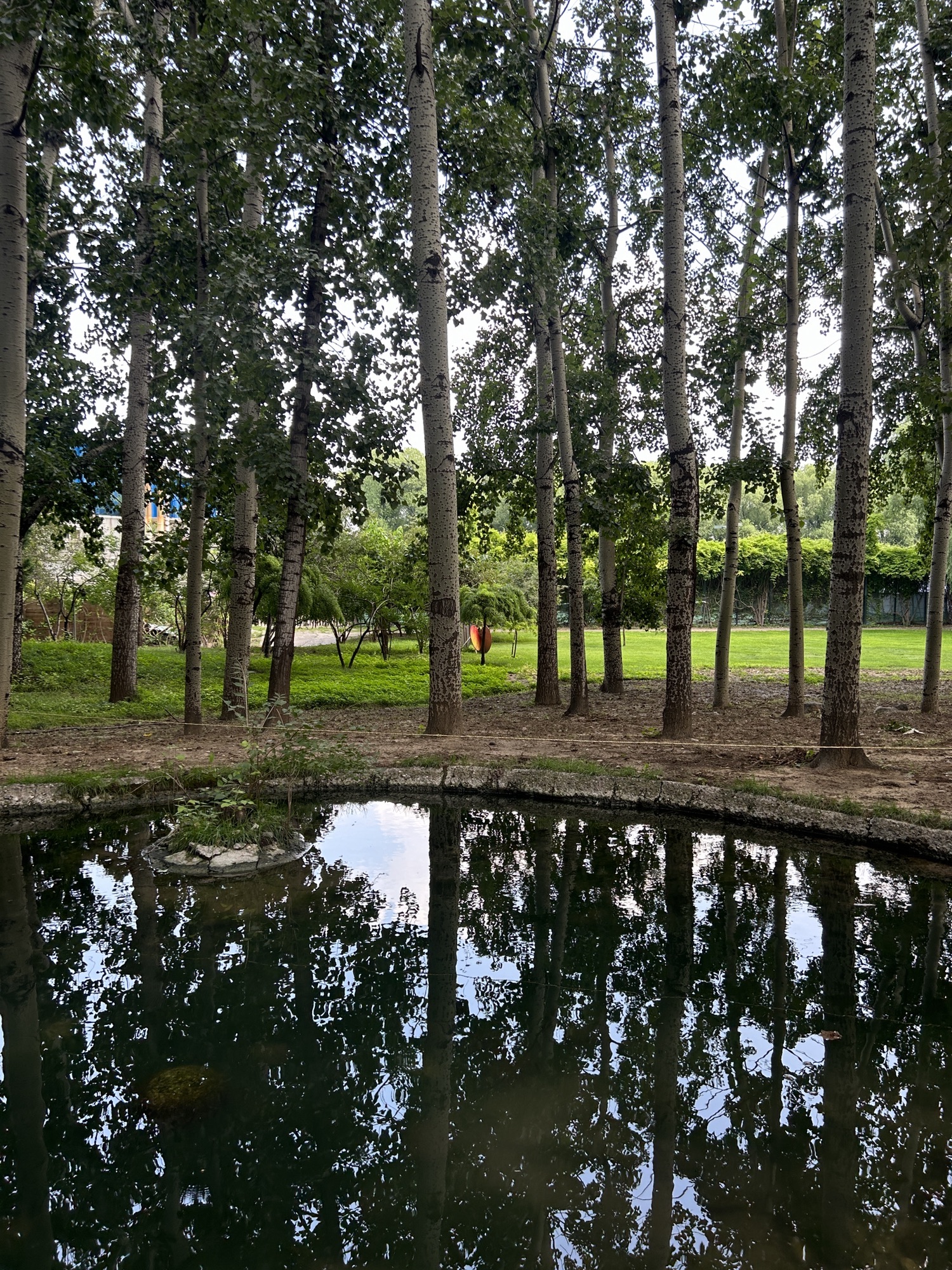 紫玉公园旅行图片