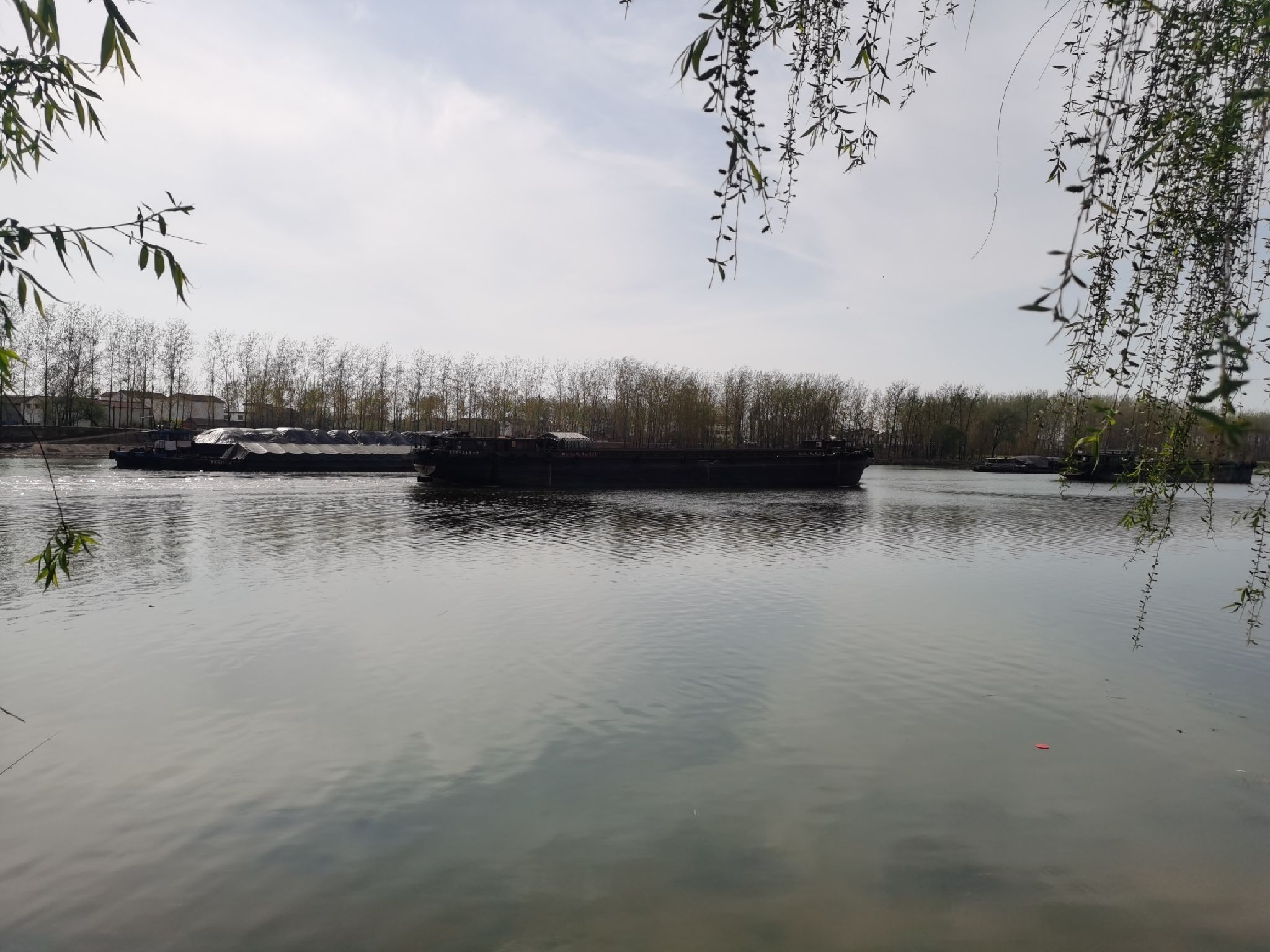 沈丘红闸湿地公园