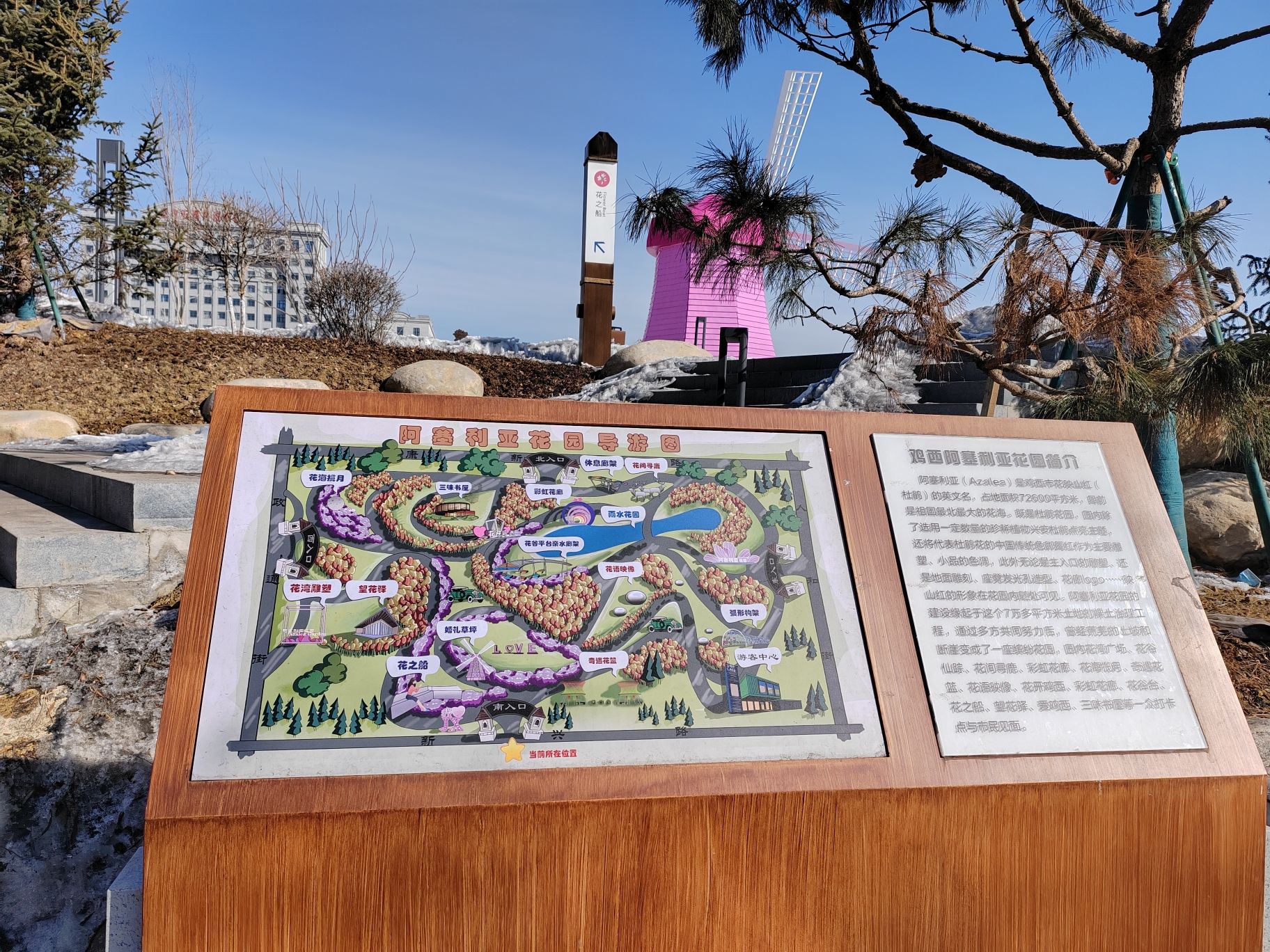 阿塞利亚花园旅行图片