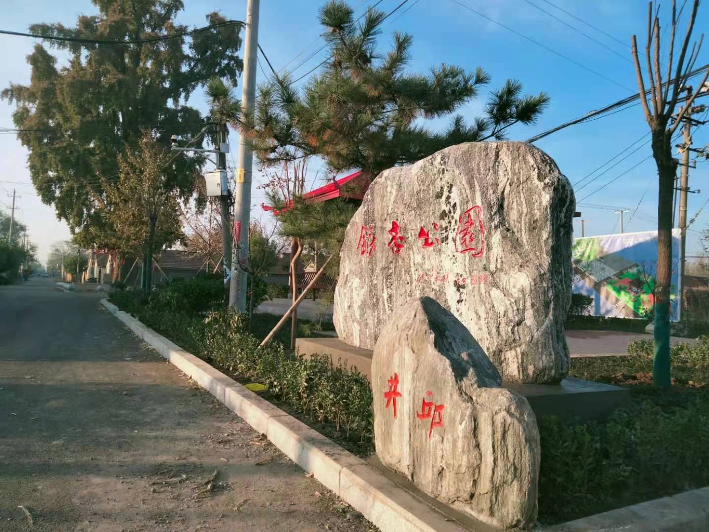 井邱银杏公园