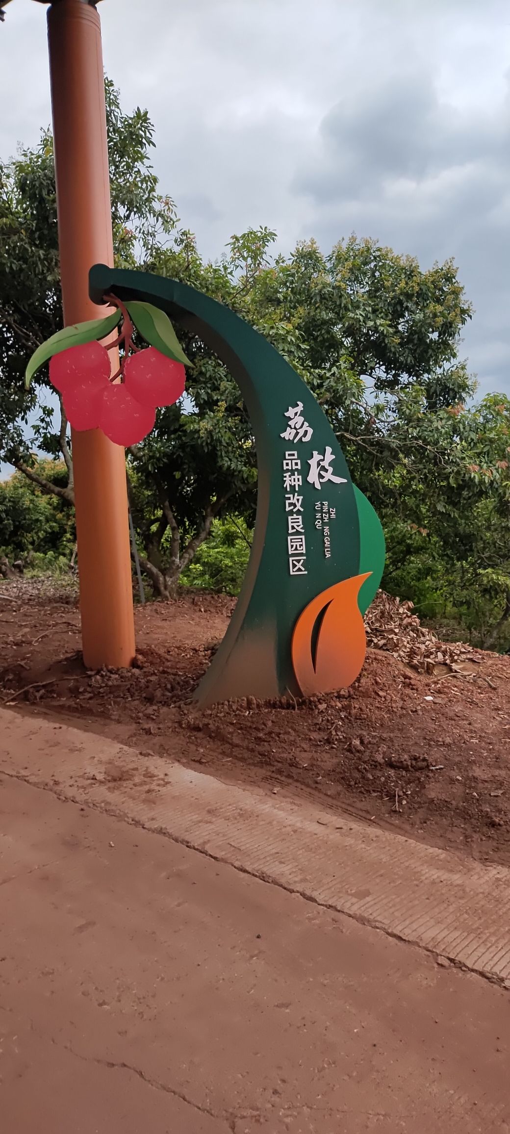 荔枝科普园旅行图片