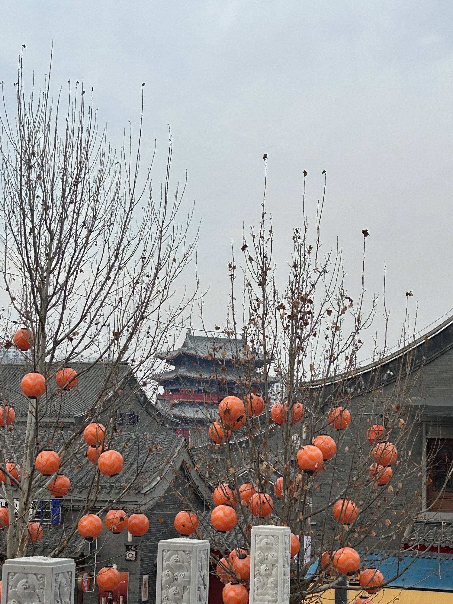 南川老街旅行图片