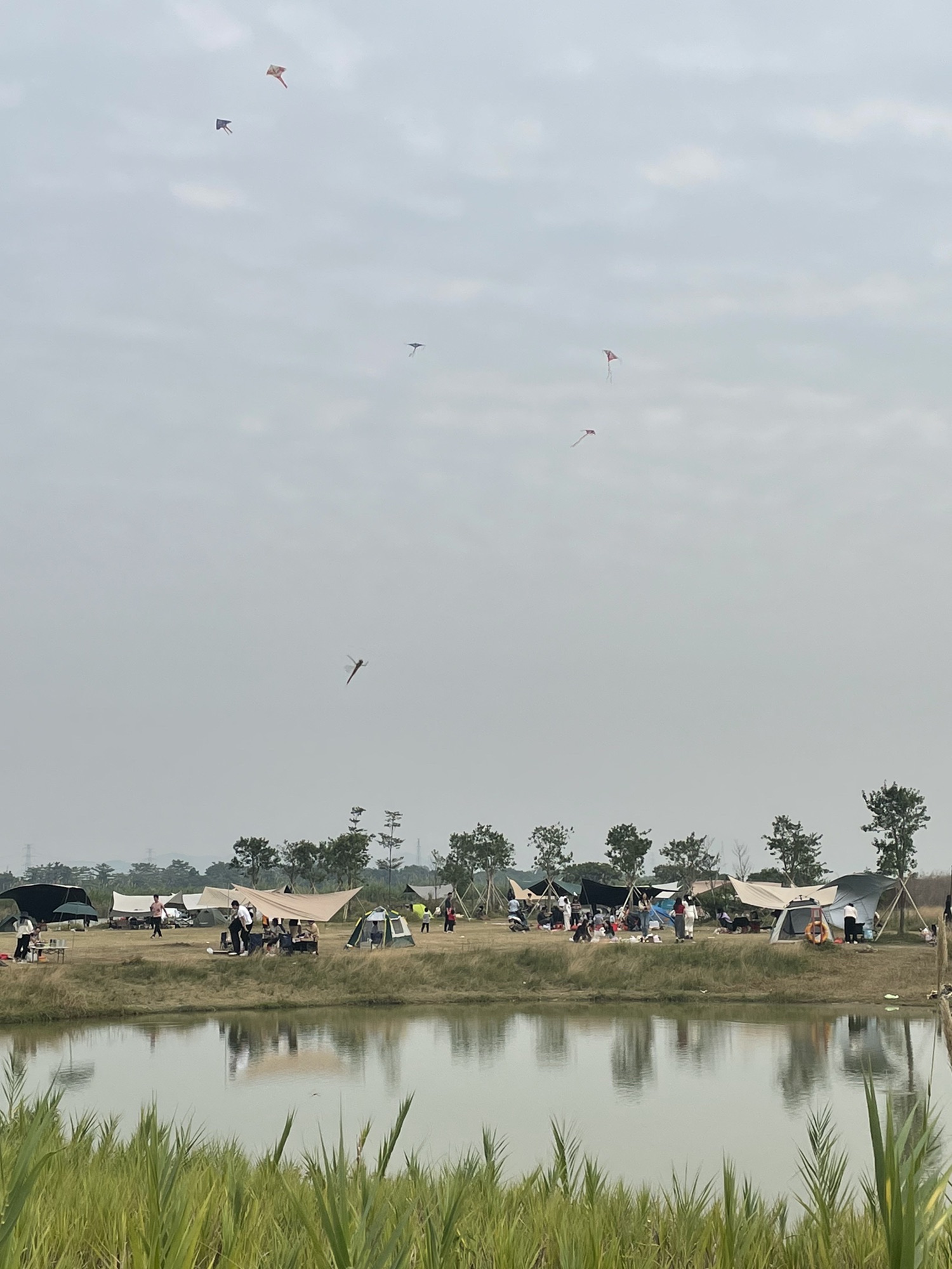 鳌岛湿地公园旅行图片