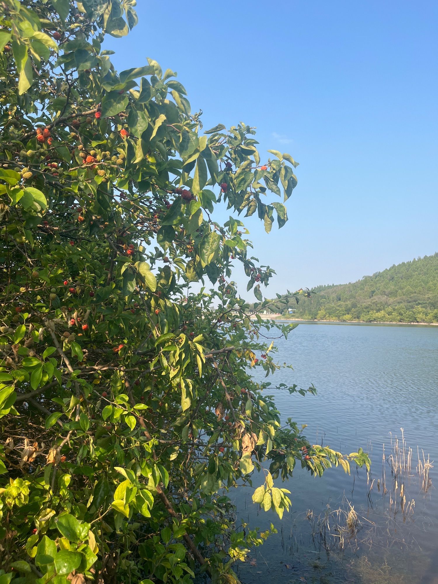杨峪风景区