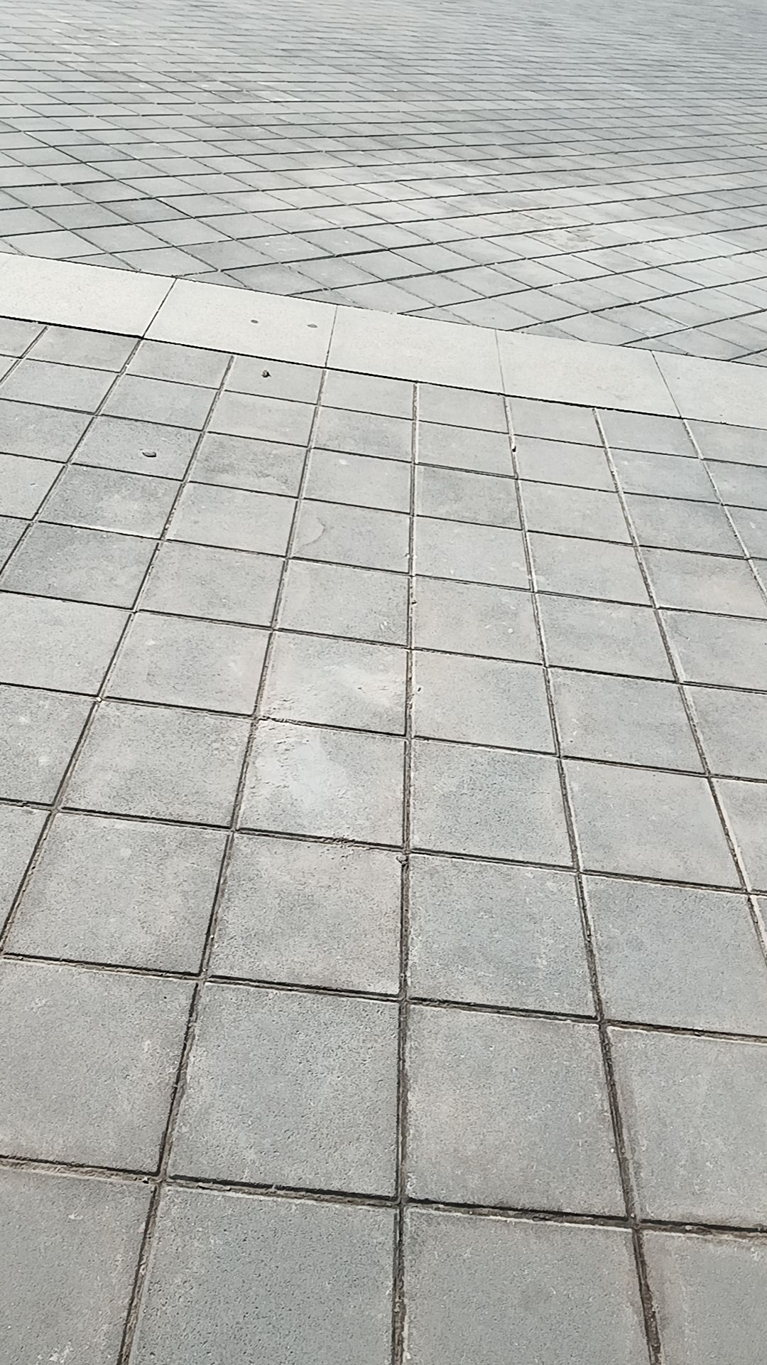 汤山湿地公园