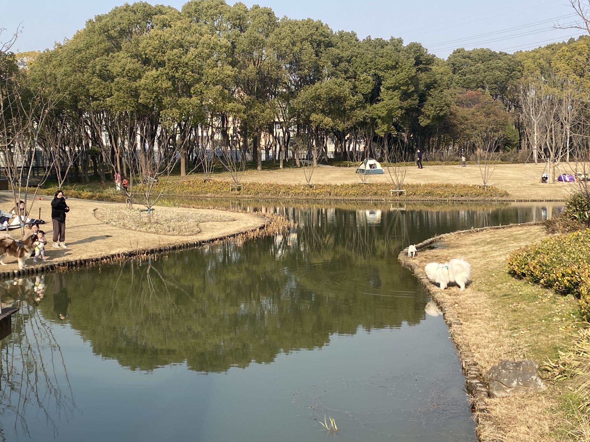 春光公园
