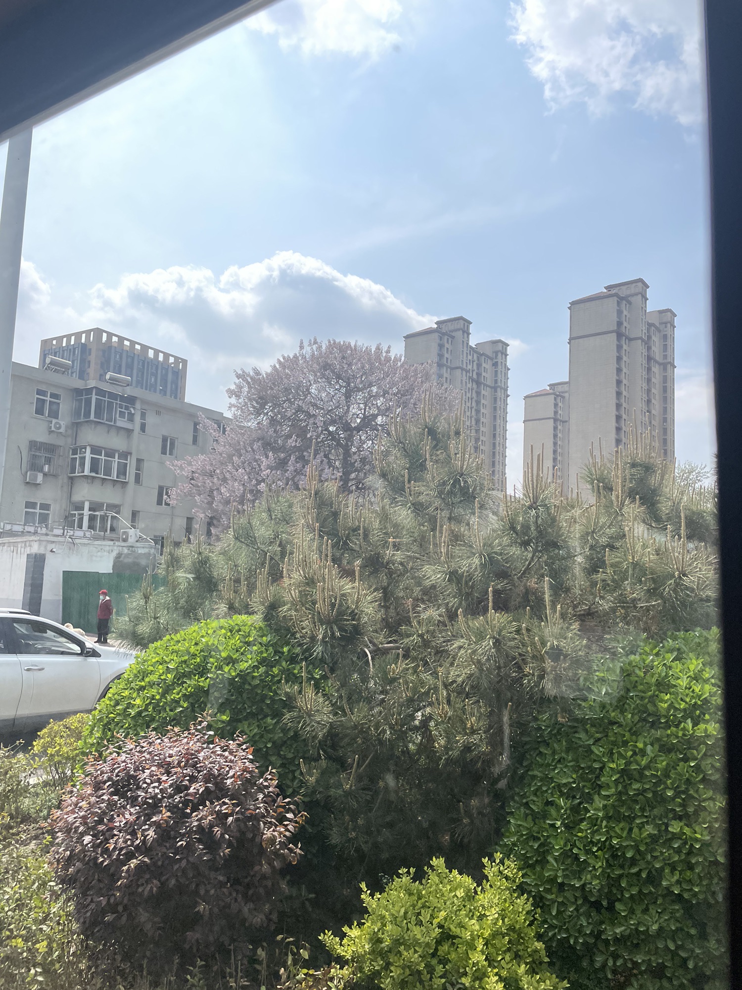 湾里庙水幕广场