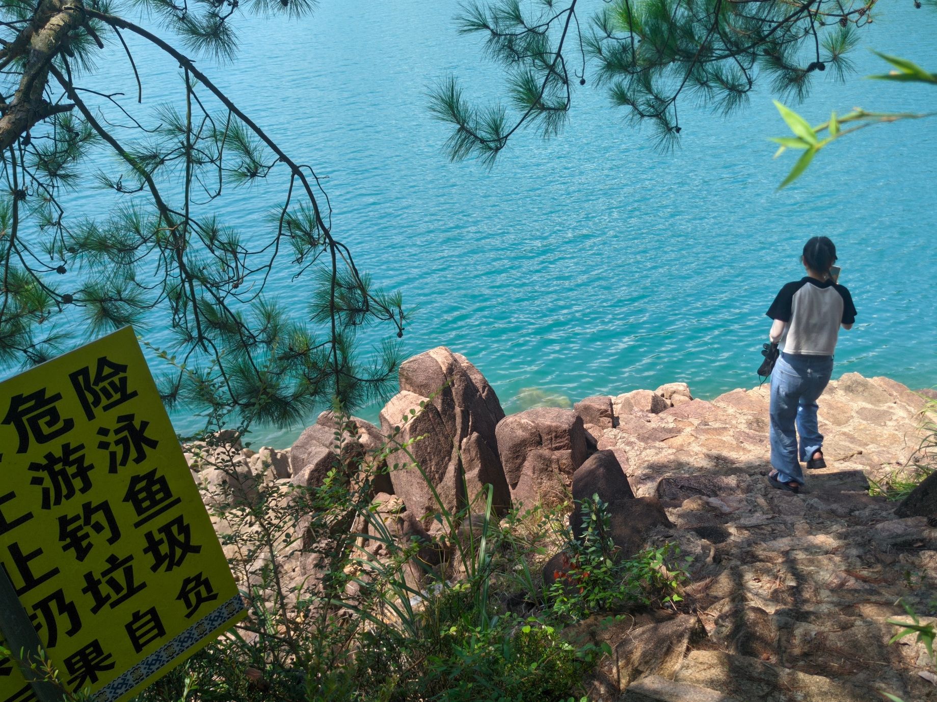 举村观景台旅行图片