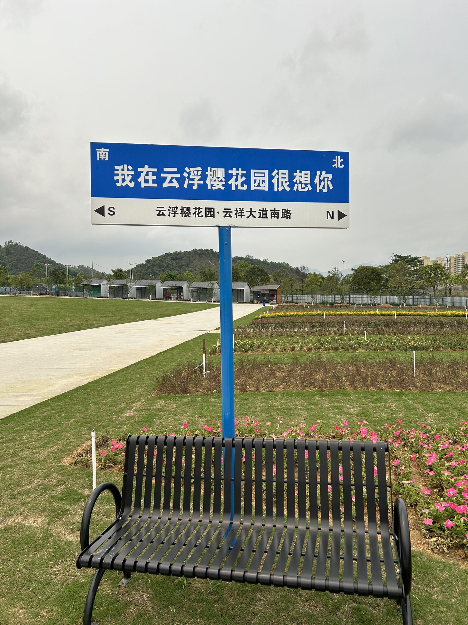 云浮樱花园