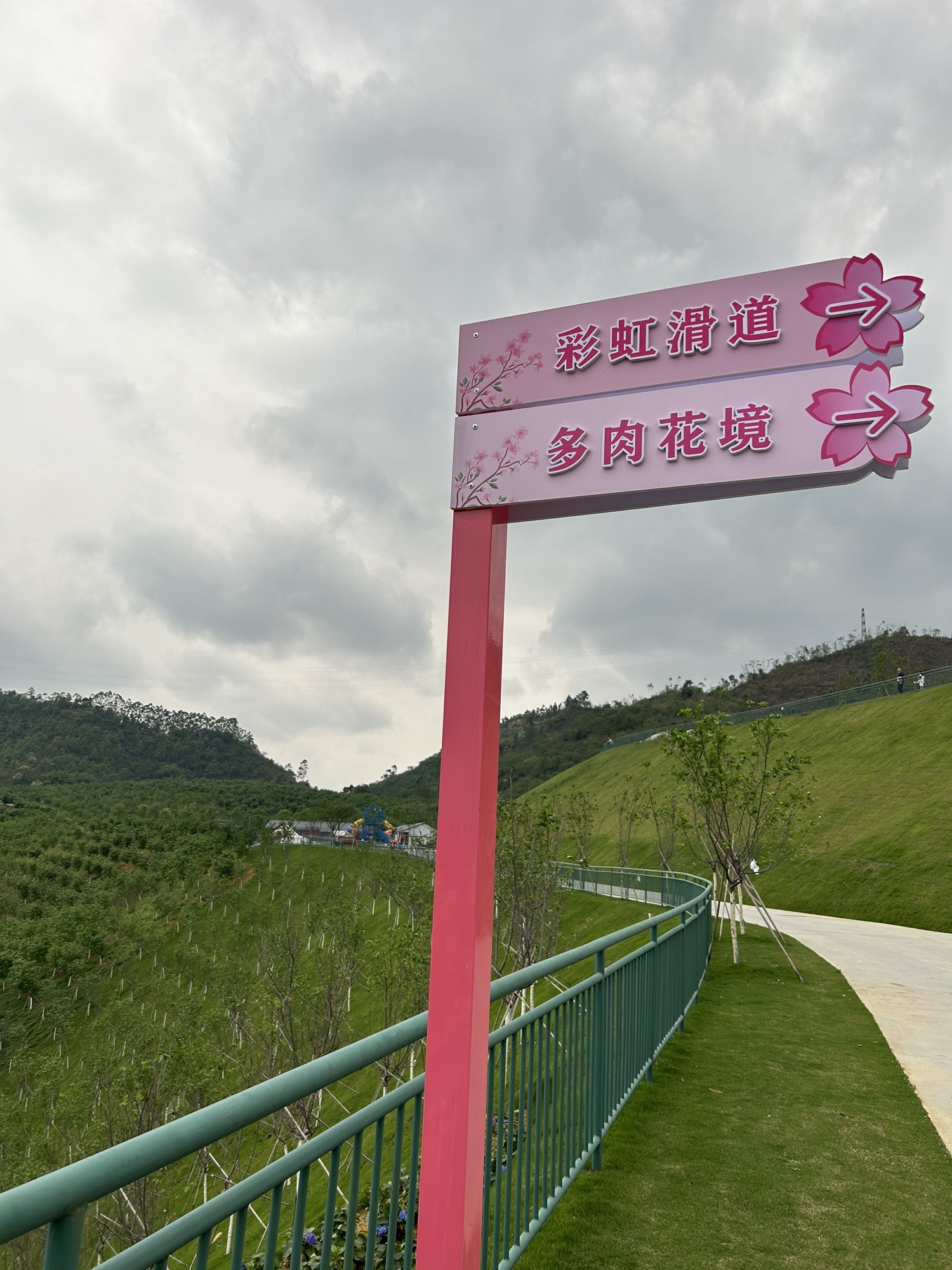 云浮樱花园旅行图片