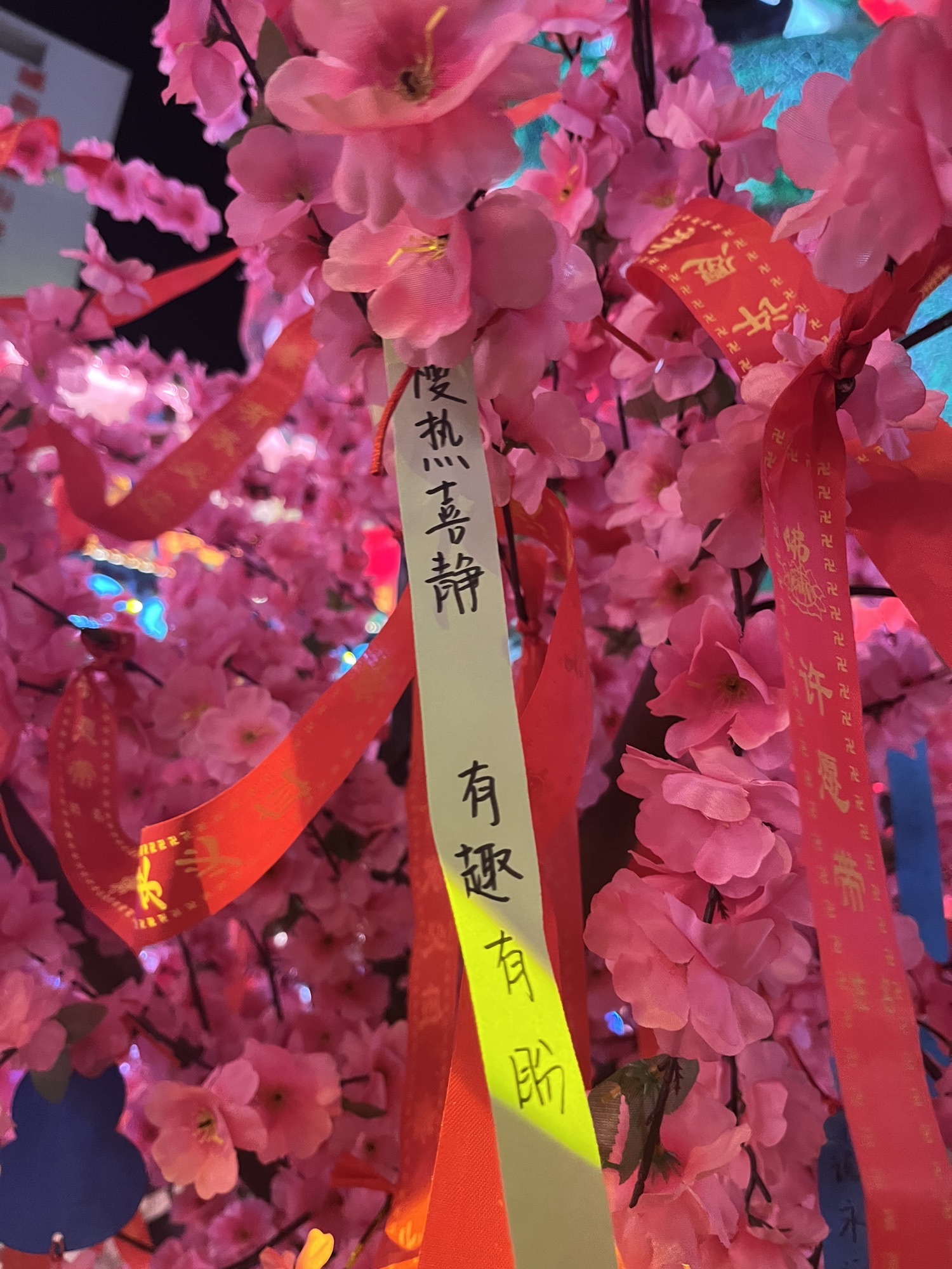 青岛明月·山海间