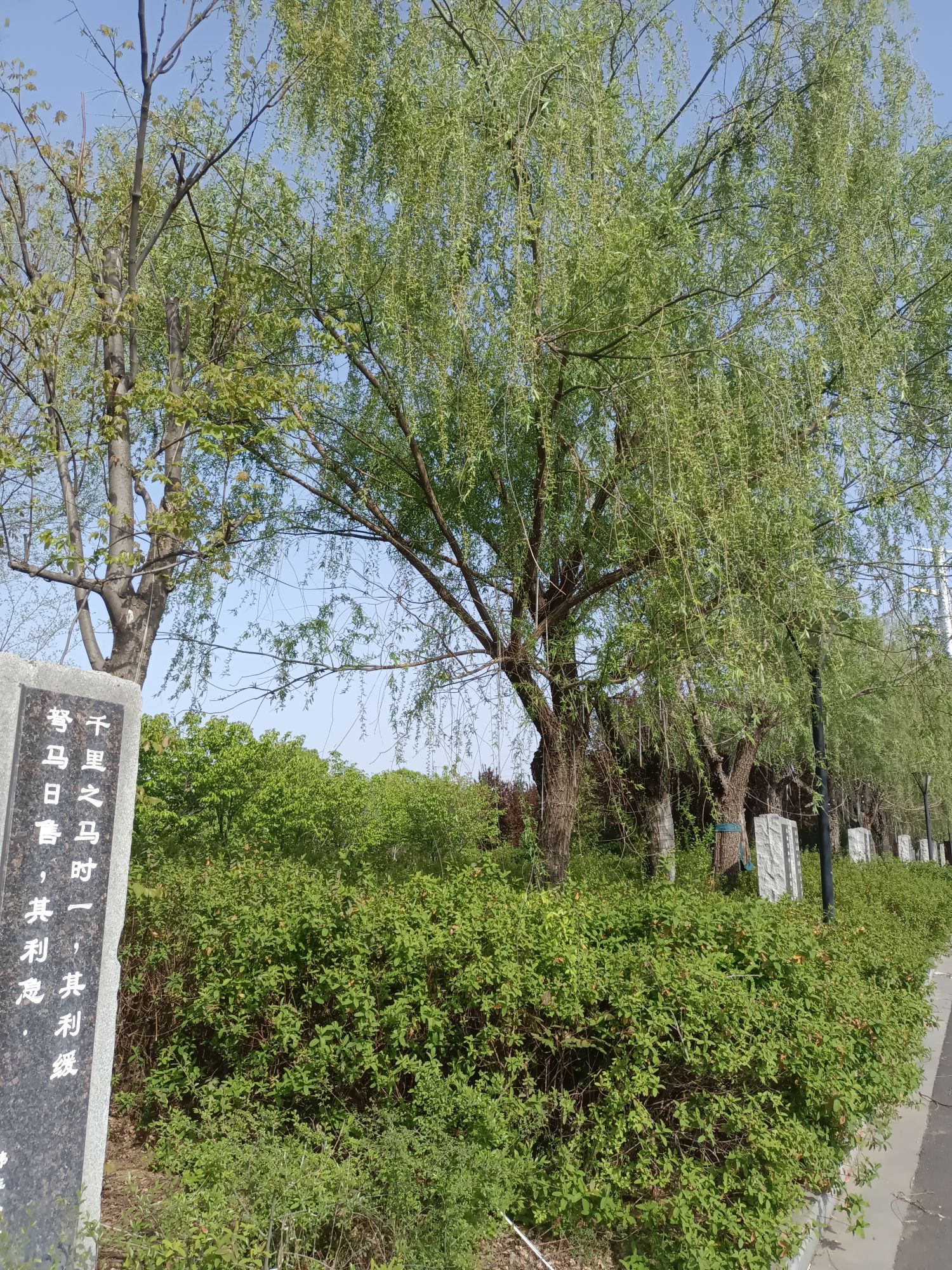 法家文化园