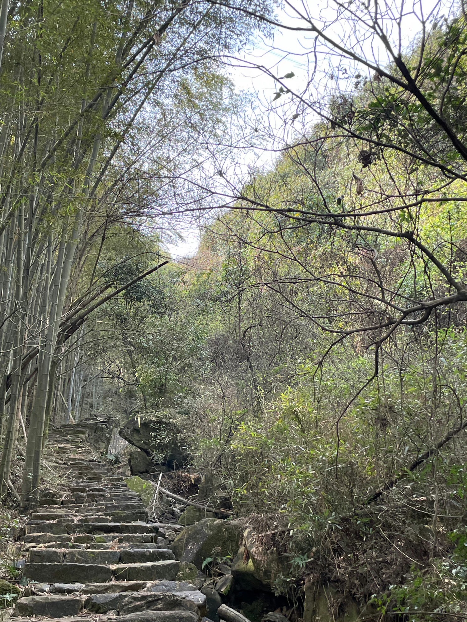 三府古道游步道
