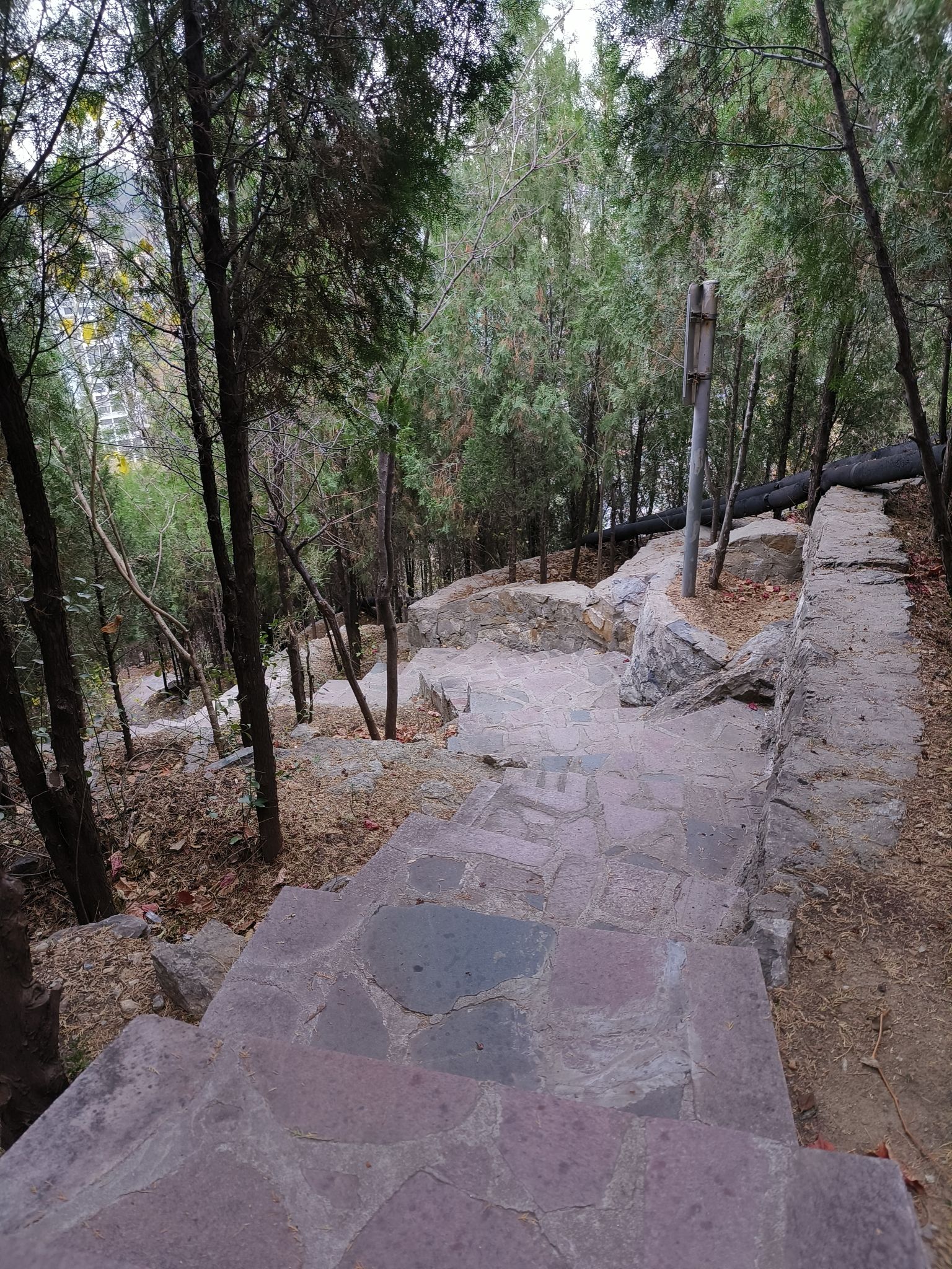 燕翅山公园