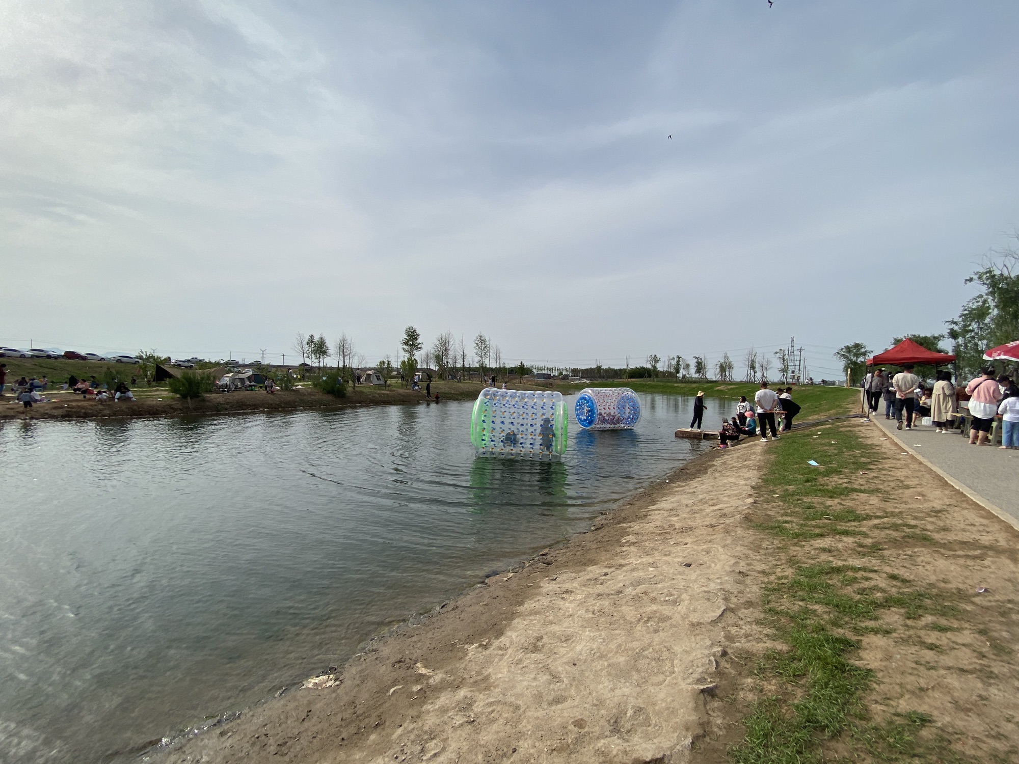 牤滏湿地
