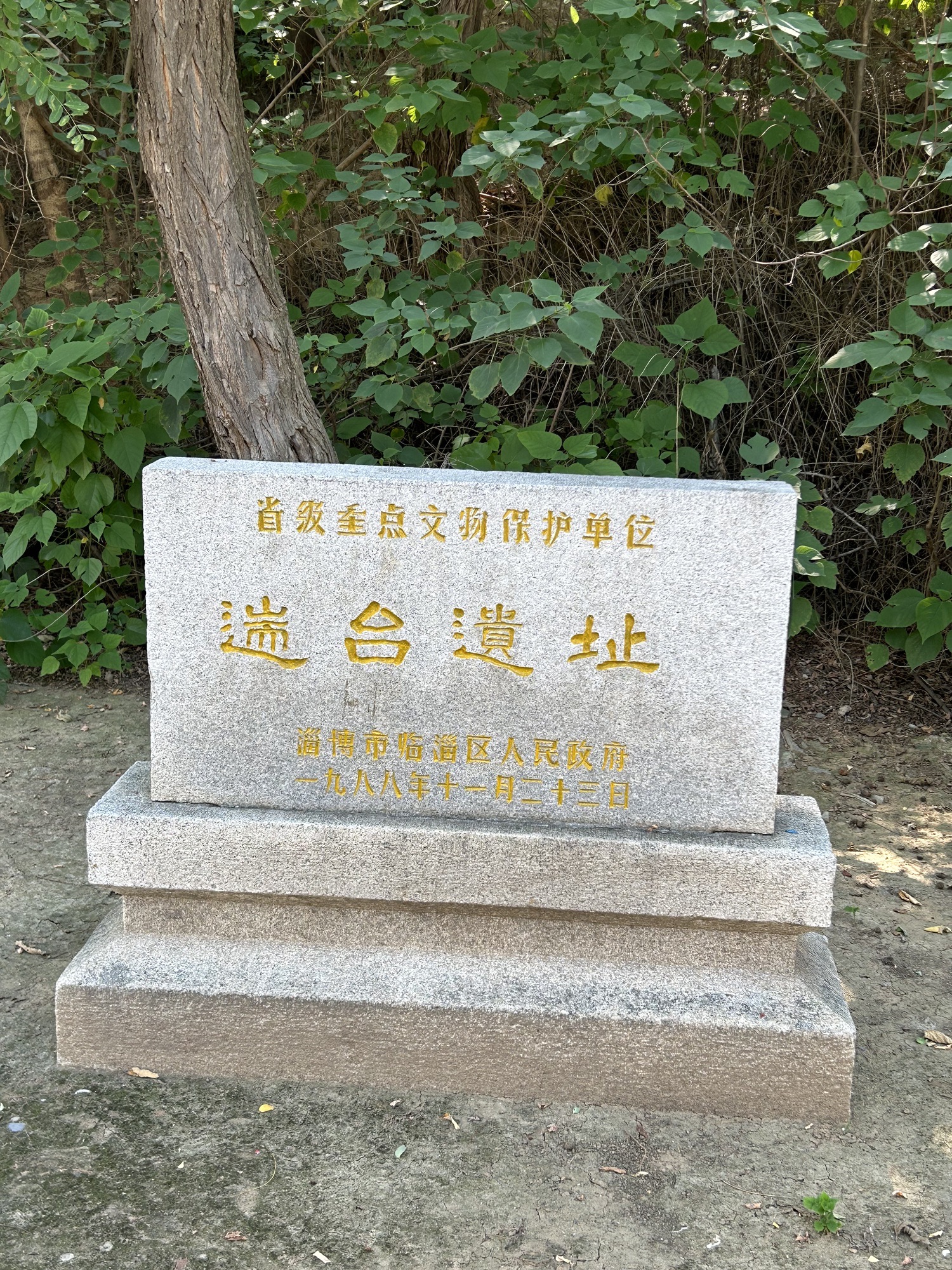 遄台遗址