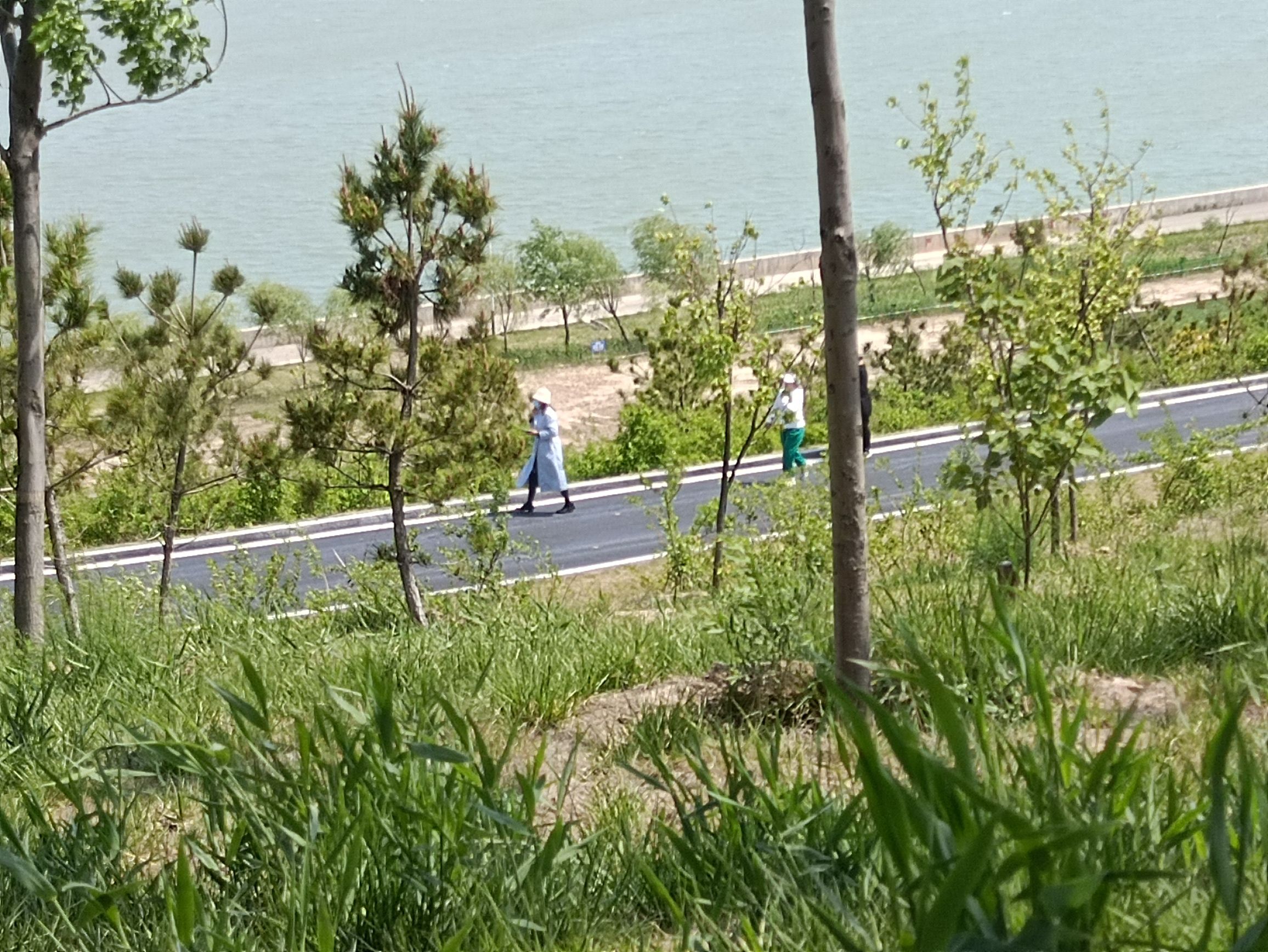 望岳湖森林公园旅行图片