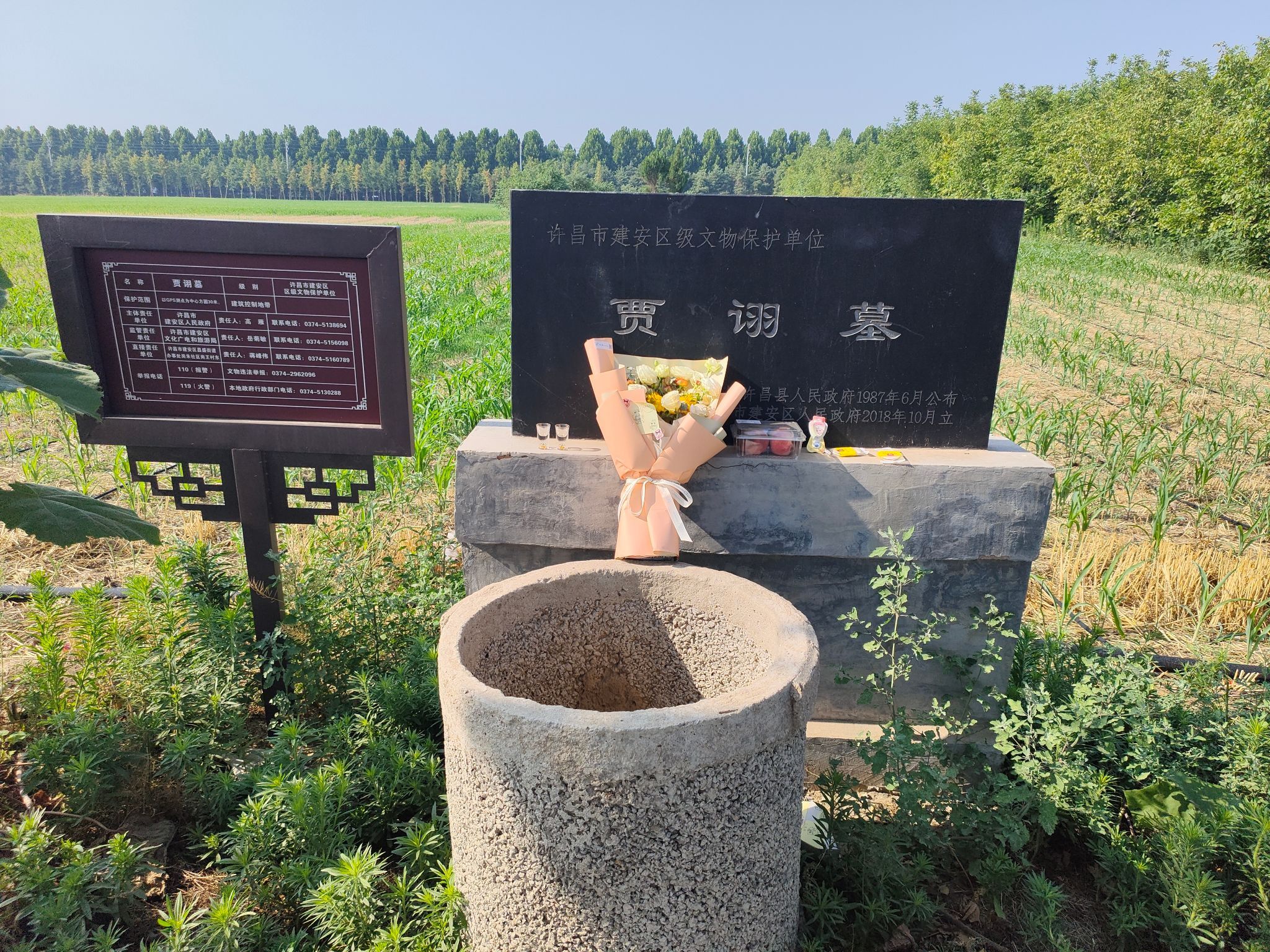 贾诩墓旅行图片