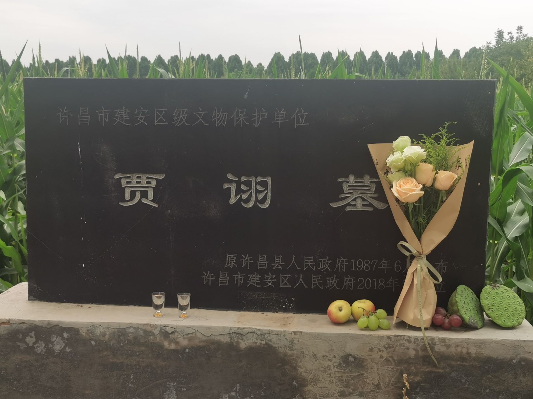 贾诩墓旅行图片
