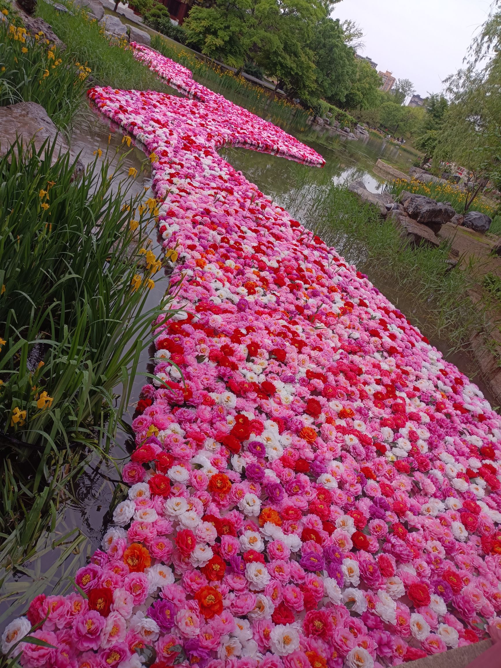 百花园