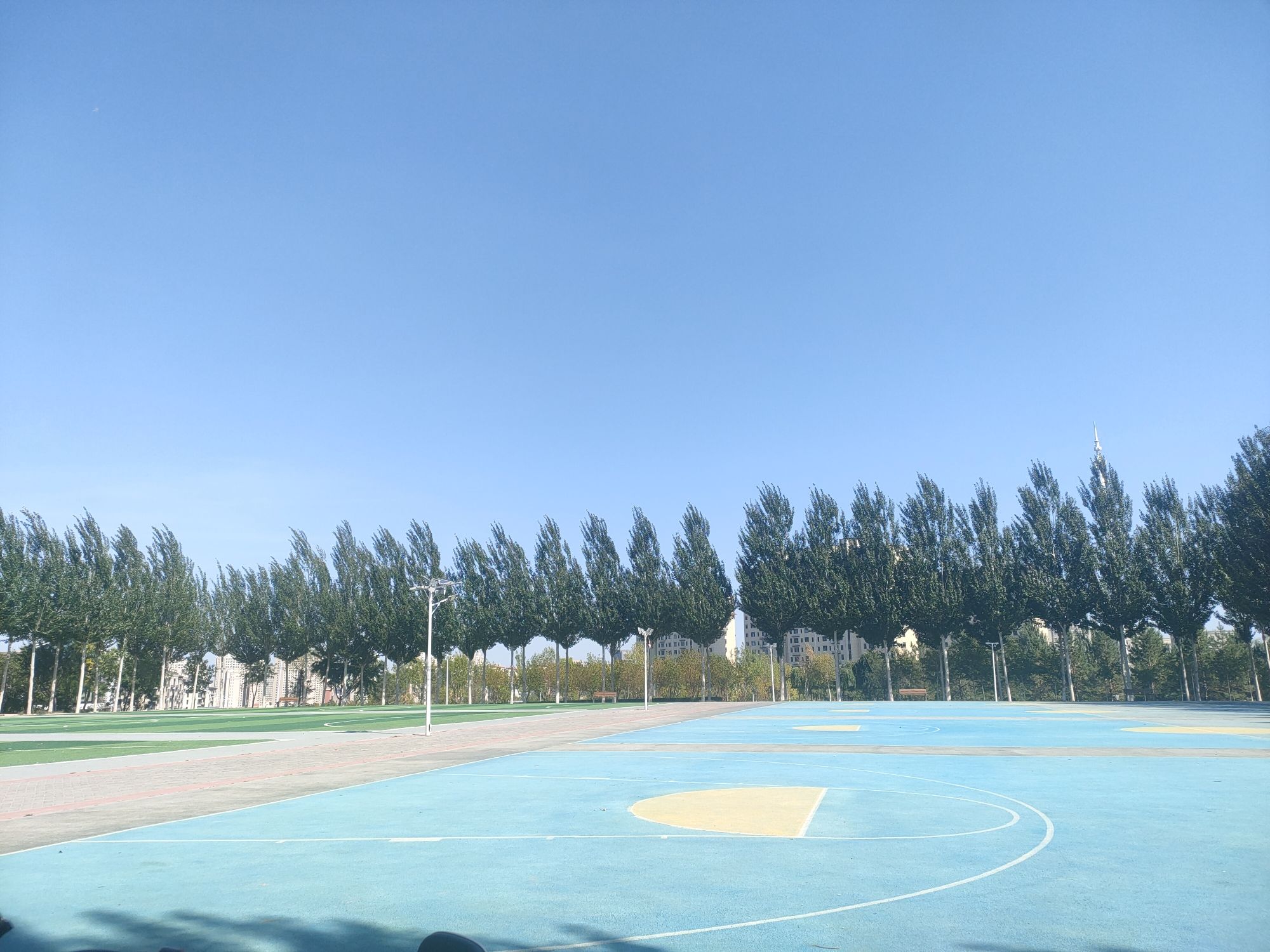牧歌公园旅行图片
