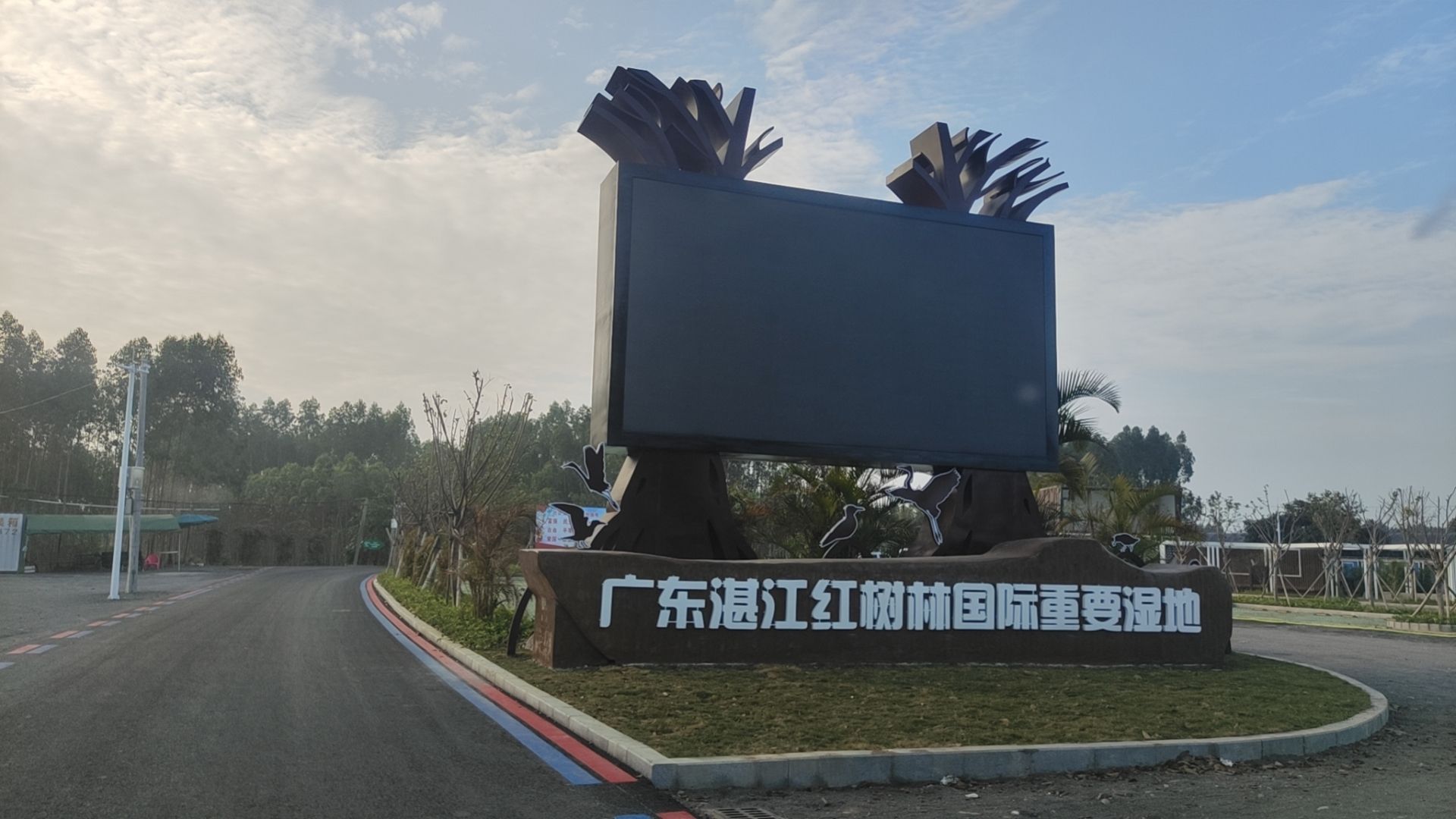 金牛岛红树林