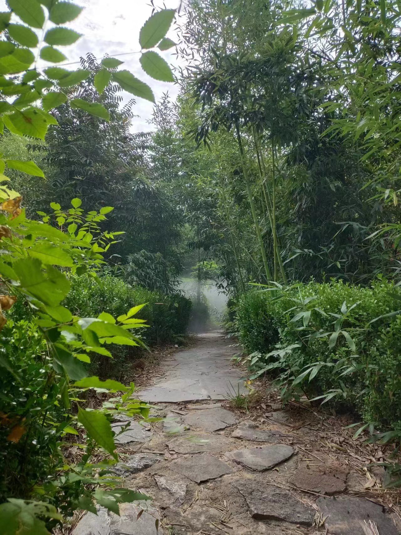 肥城市黑牛山庄旅游度假区旅行图片