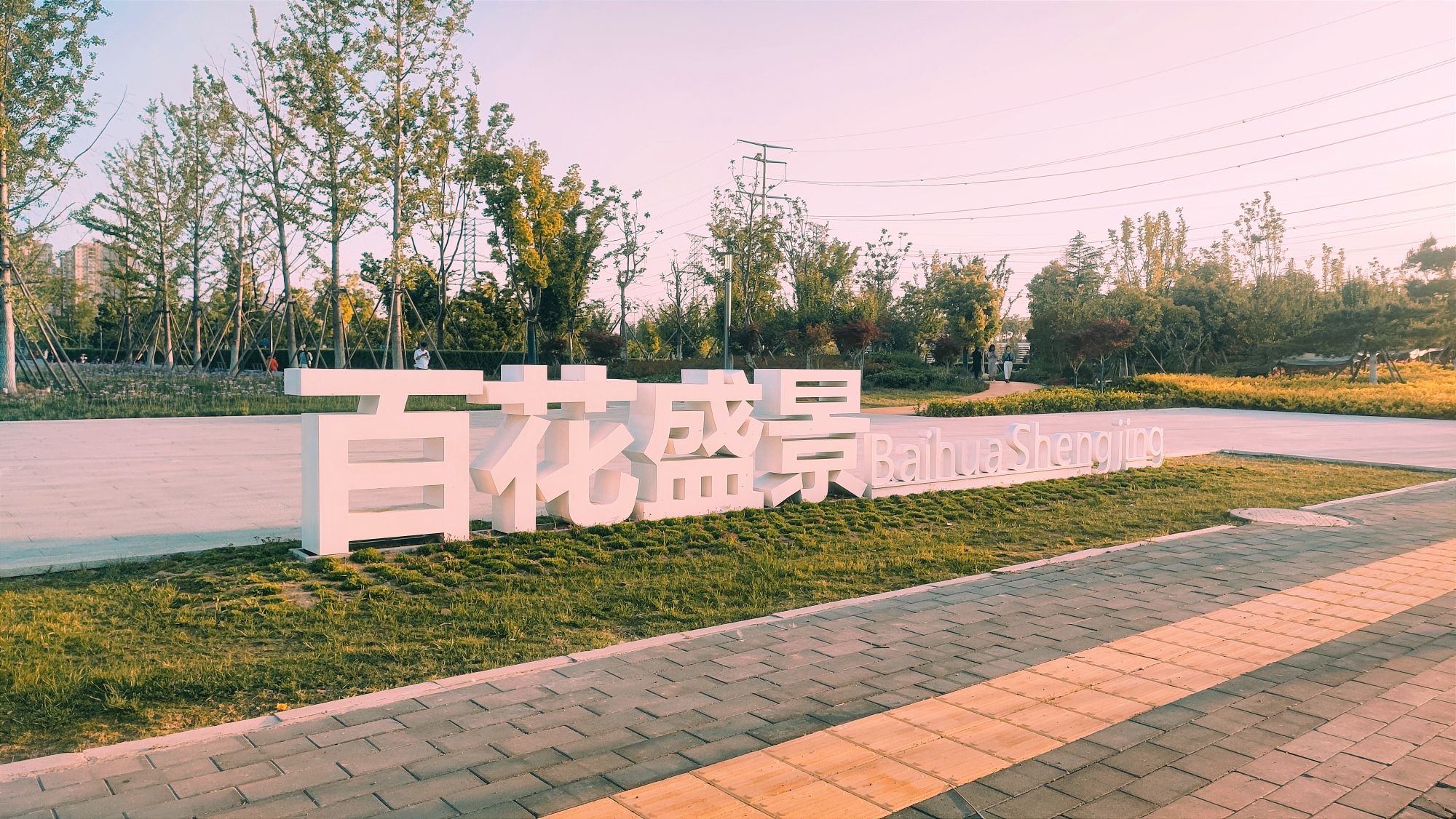 人民公园百花盛景园旅行图片