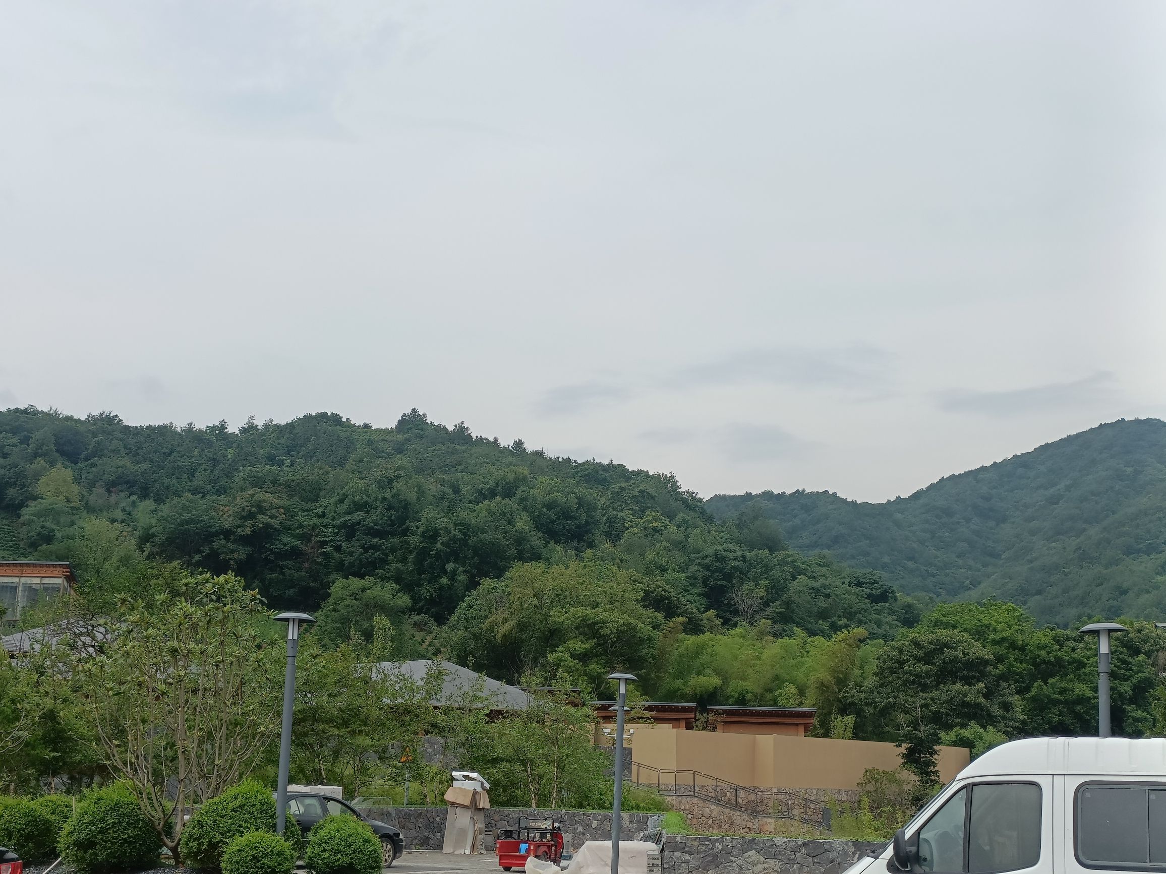 长冲村夫妻树