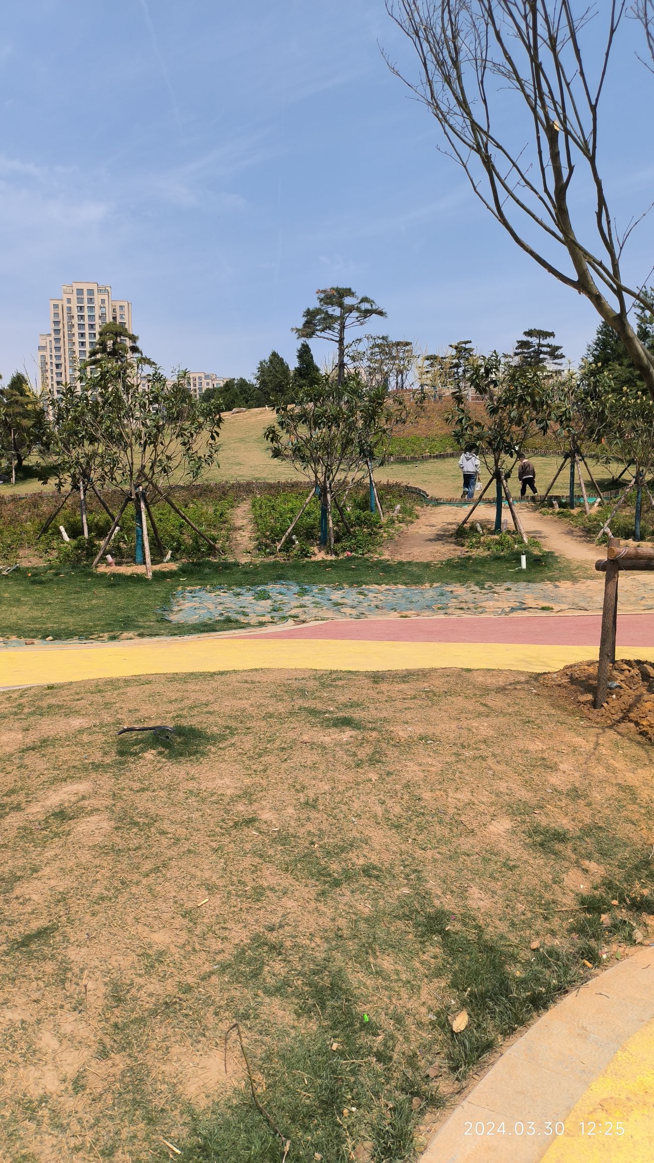 申伯公园旅行图片