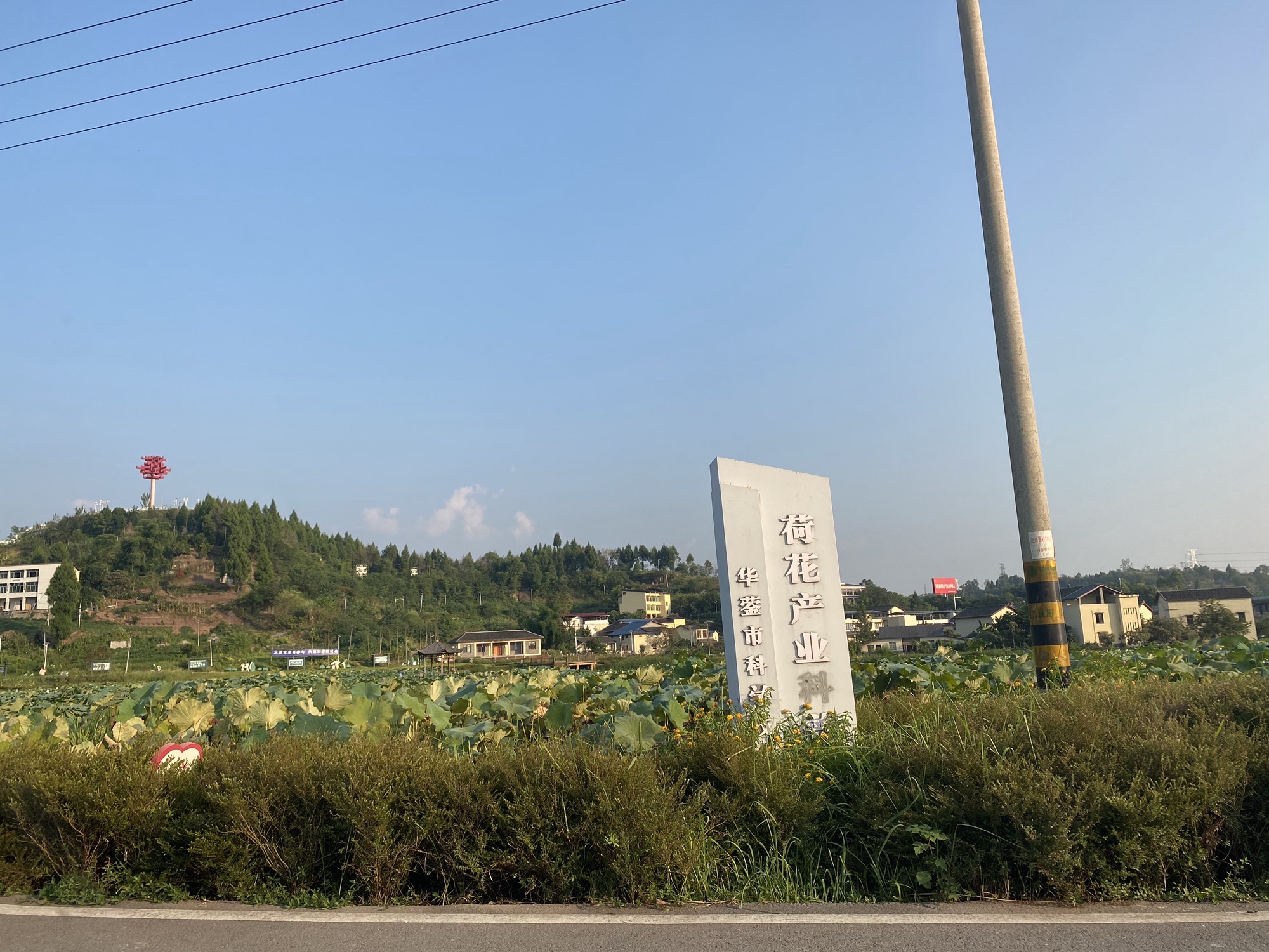 荷月江岸