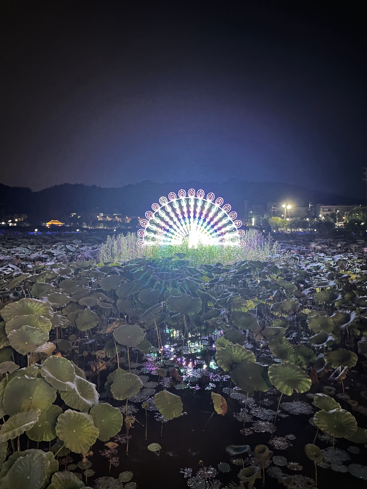 高厝塘湿地公园