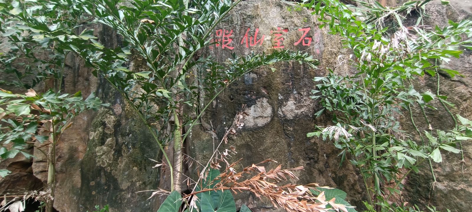 石室仙踪摩崖石刻旅行图片