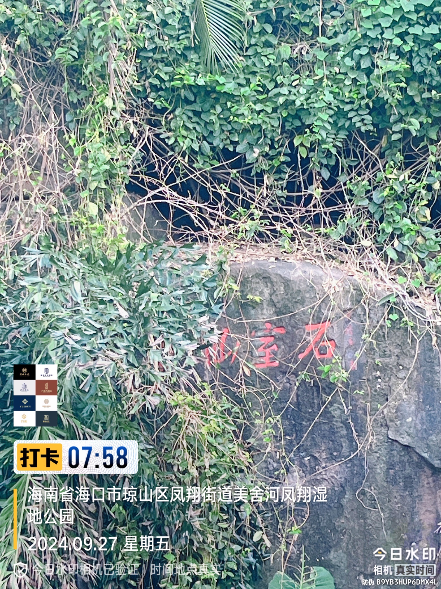 石室仙踪摩崖石刻旅行图片
