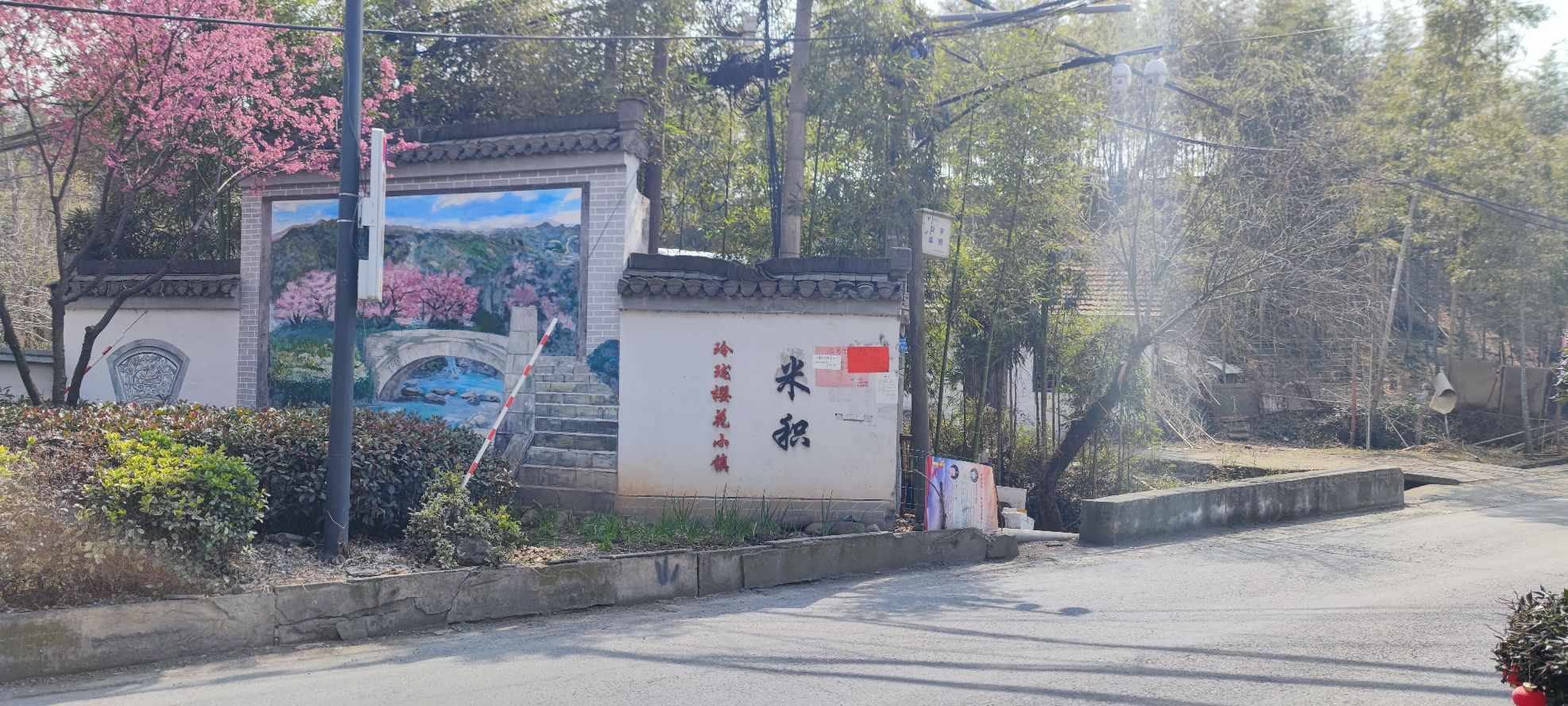 米积樱花小镇旅行图片