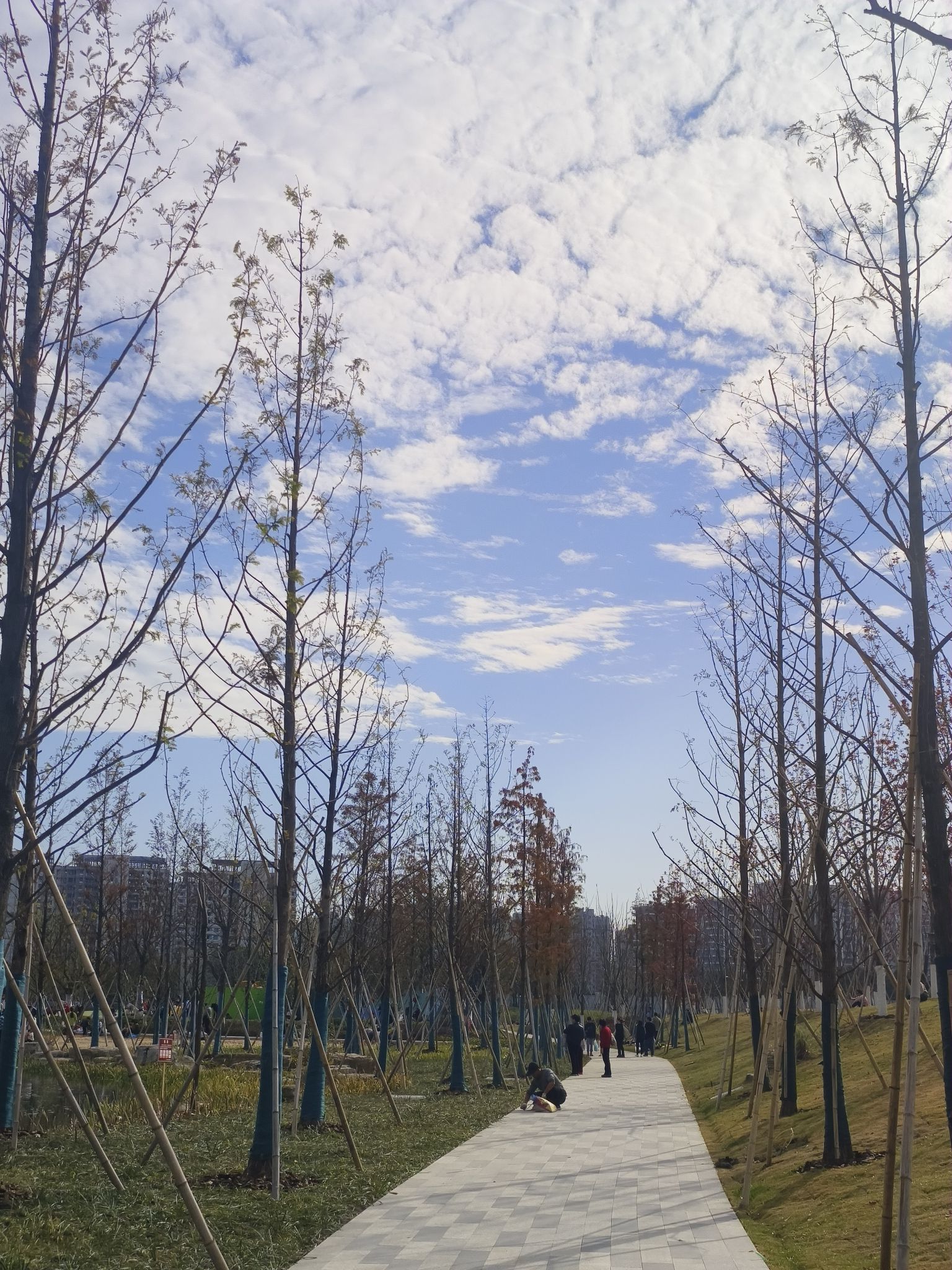 龙安湖公园
