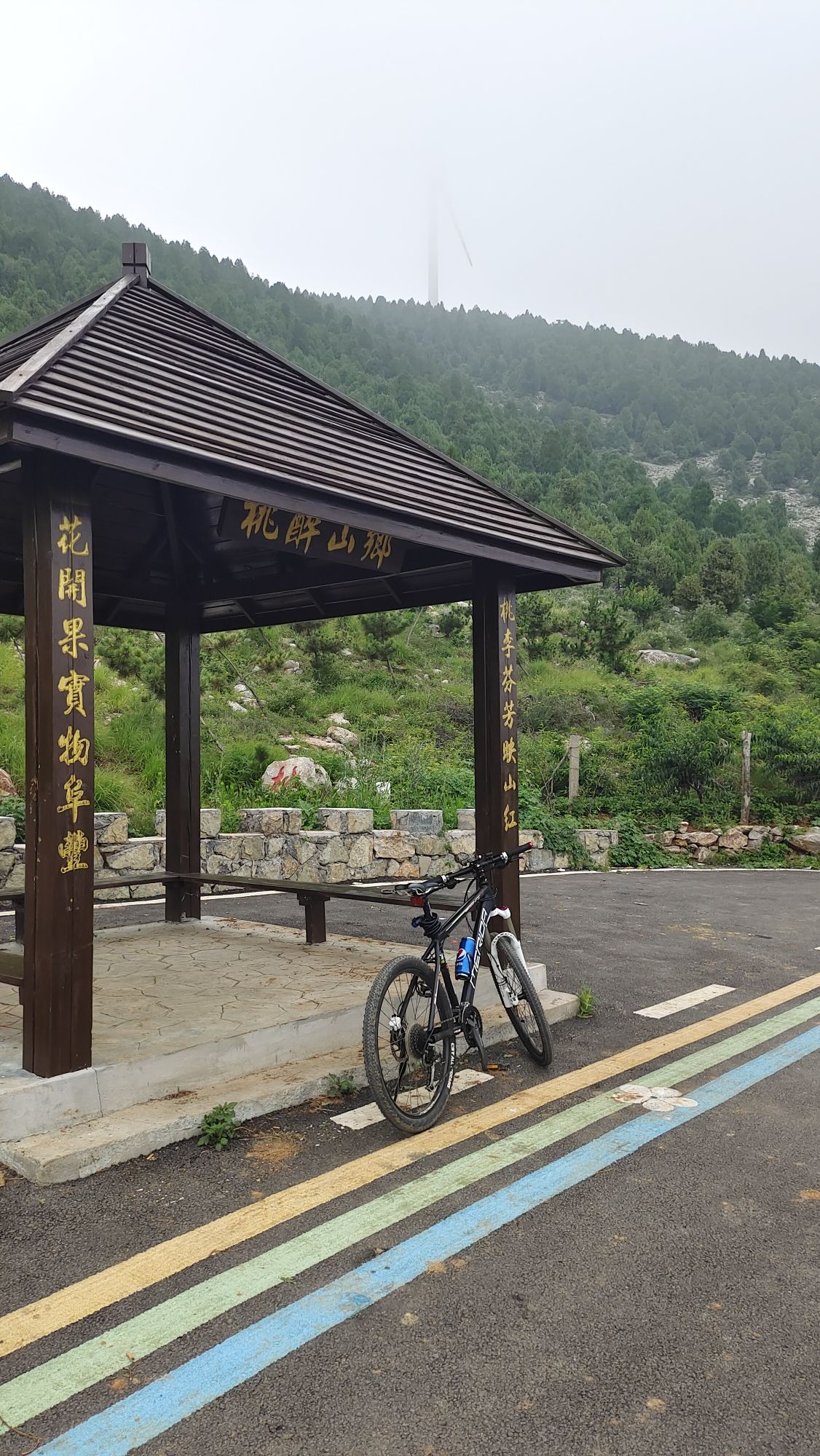 张山子镇张庄村万亩桃花峪