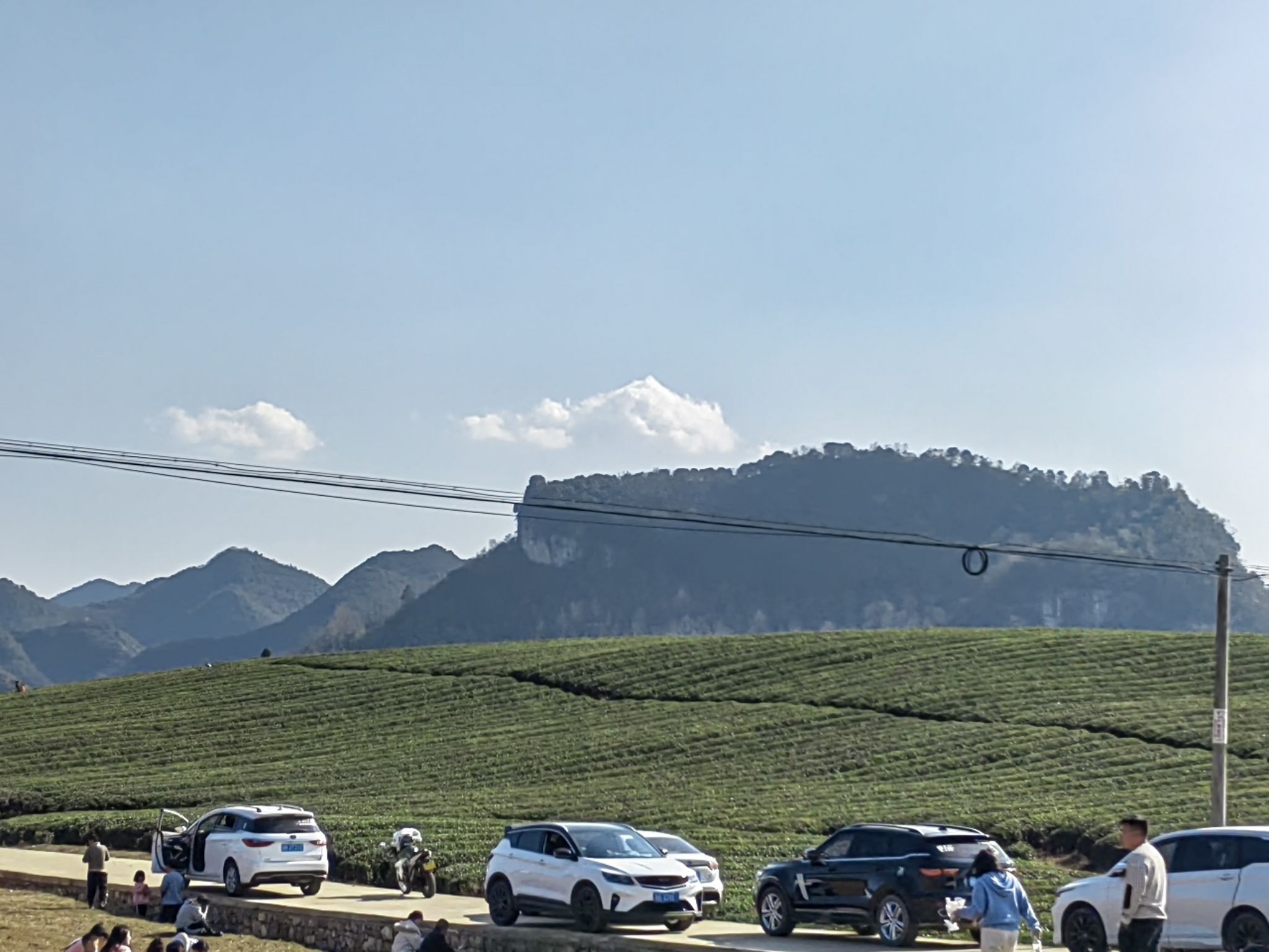 十二茅坡梅格樱花园
